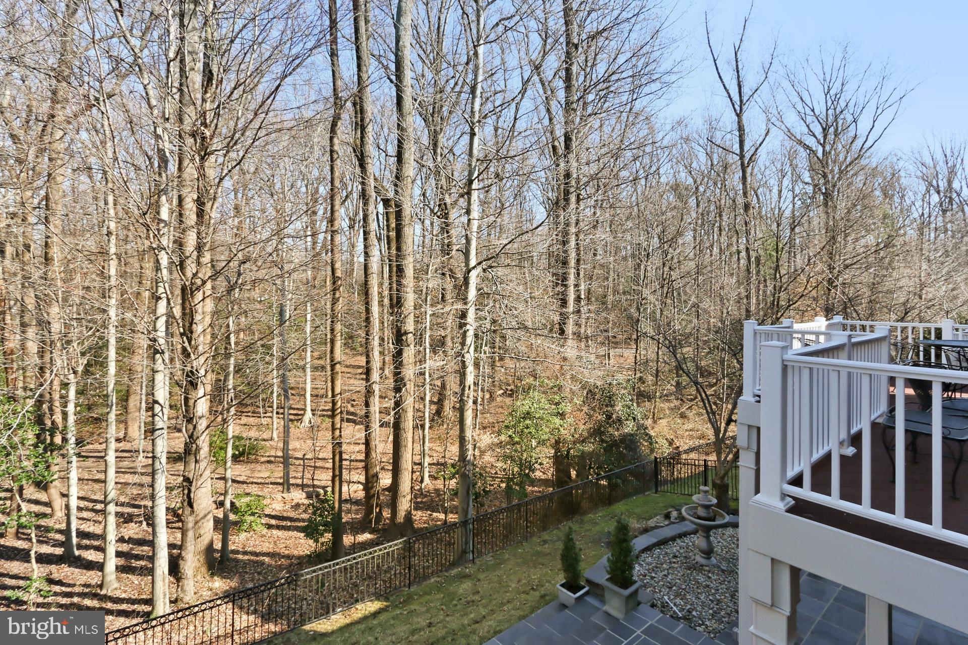 PICKETT'S RESERVE - Residential