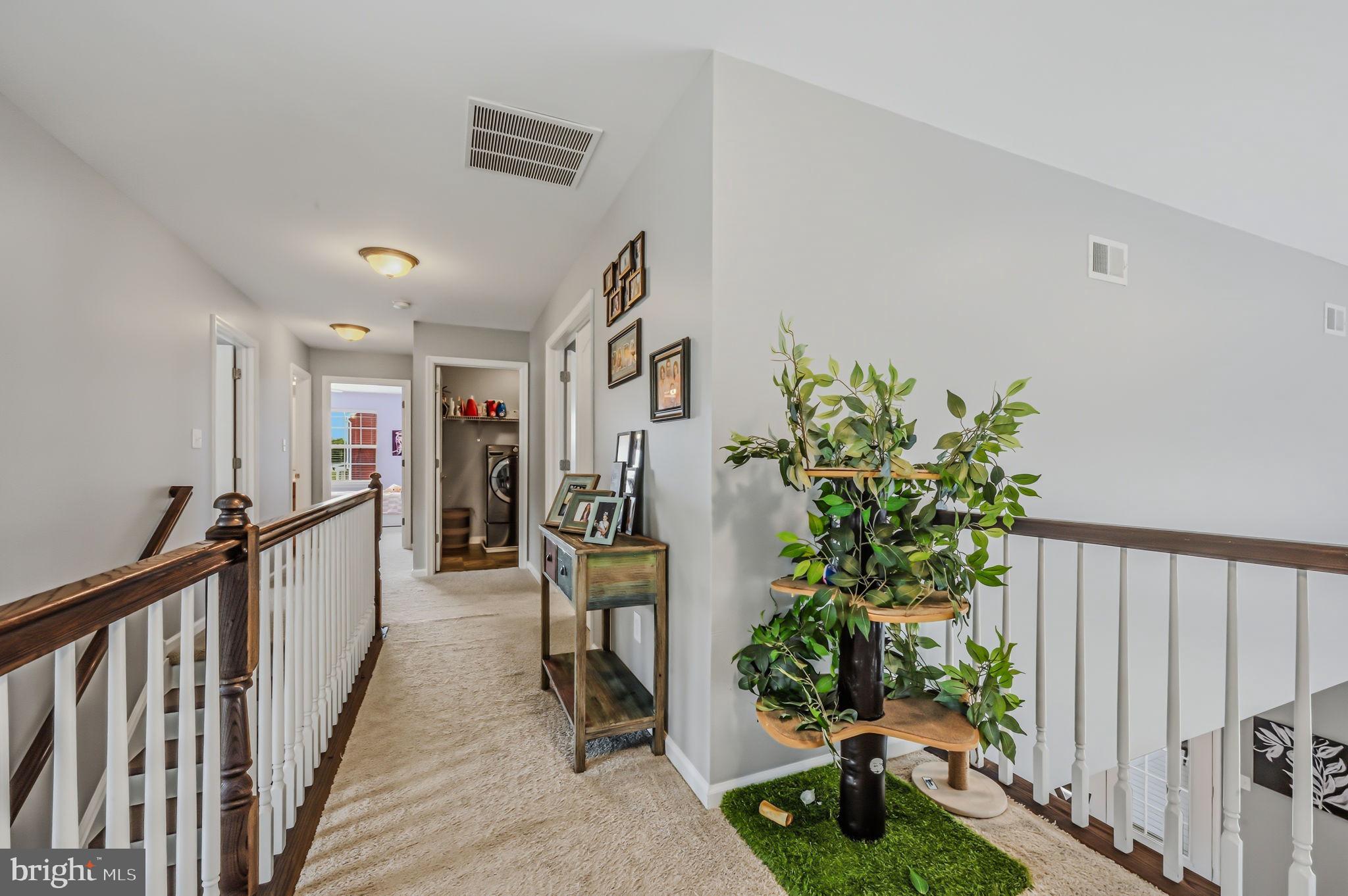 SHANNON COVE - Residential