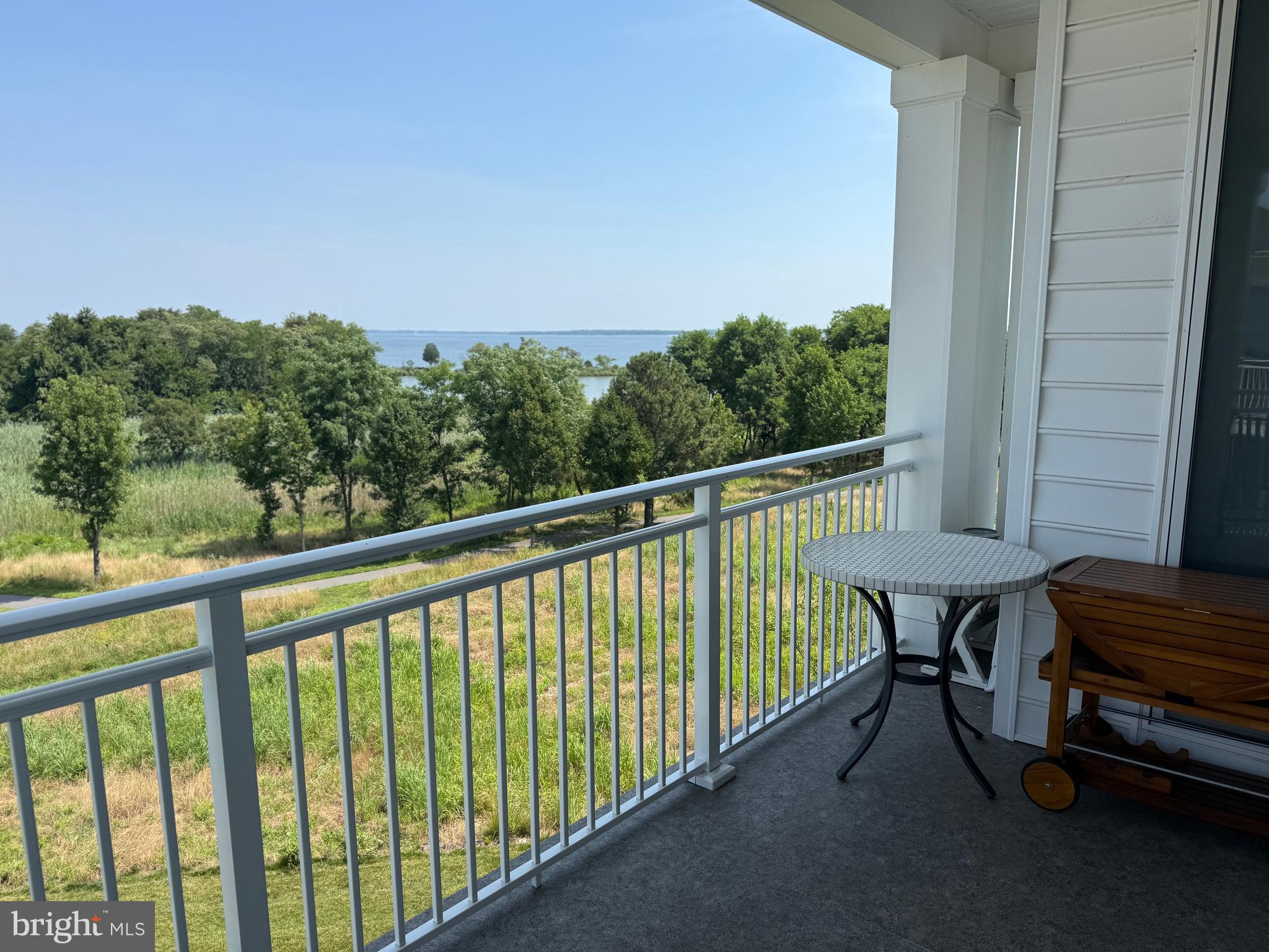 FOUR SEASONS AT KENT ISLAND - Residential