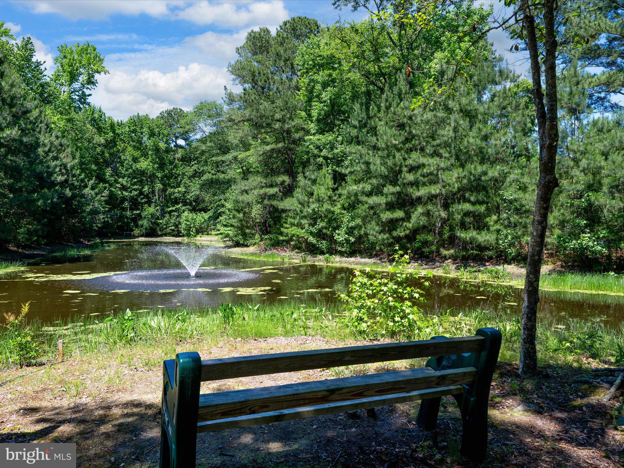 BETHANY FOREST - Residential