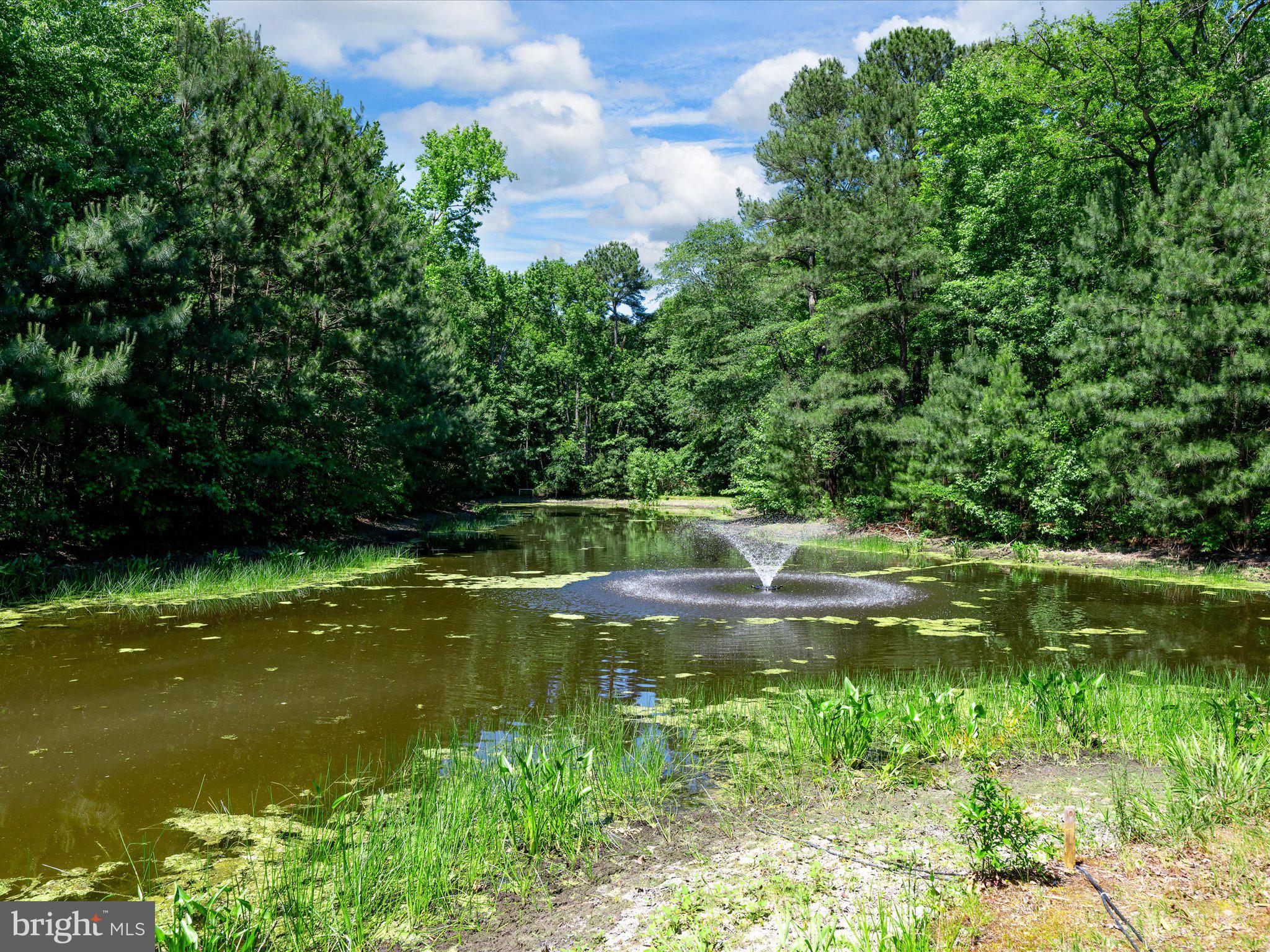 BETHANY FOREST - Residential