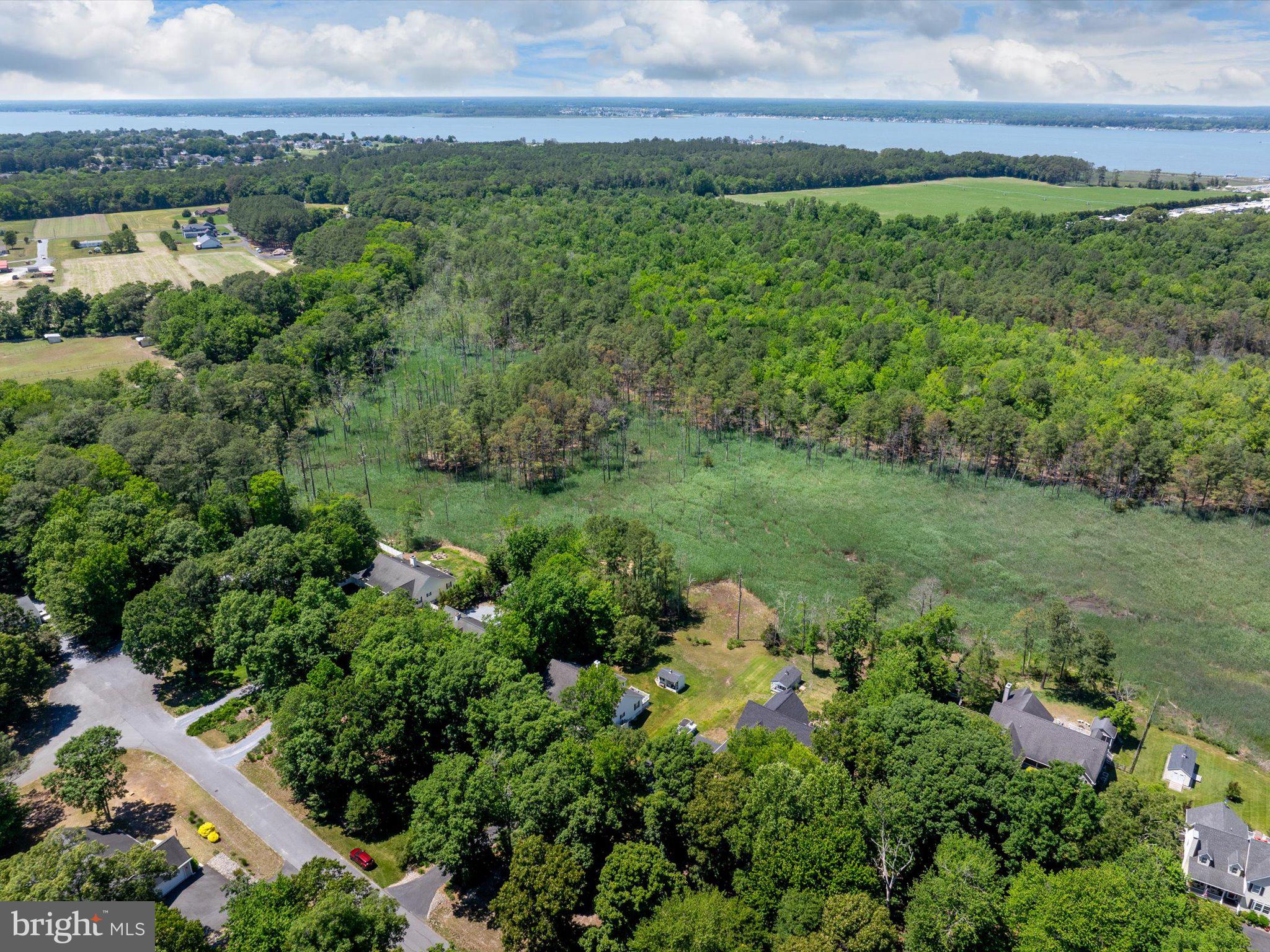 BETHANY FOREST - Residential