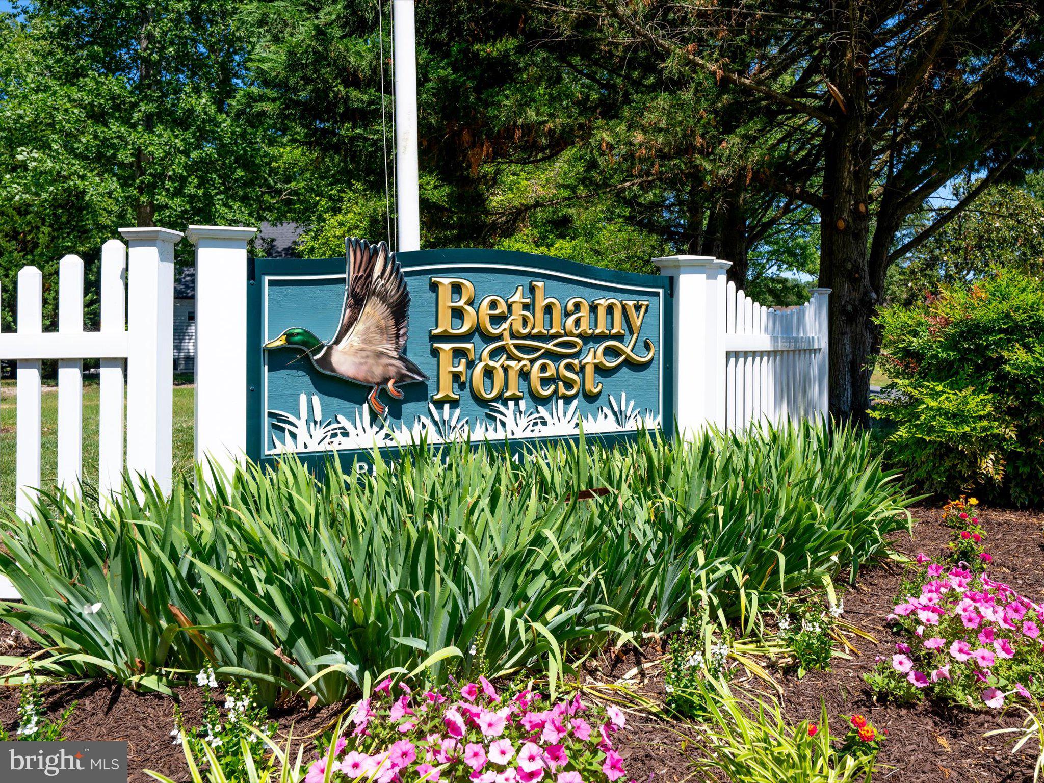 BETHANY FOREST - Residential
