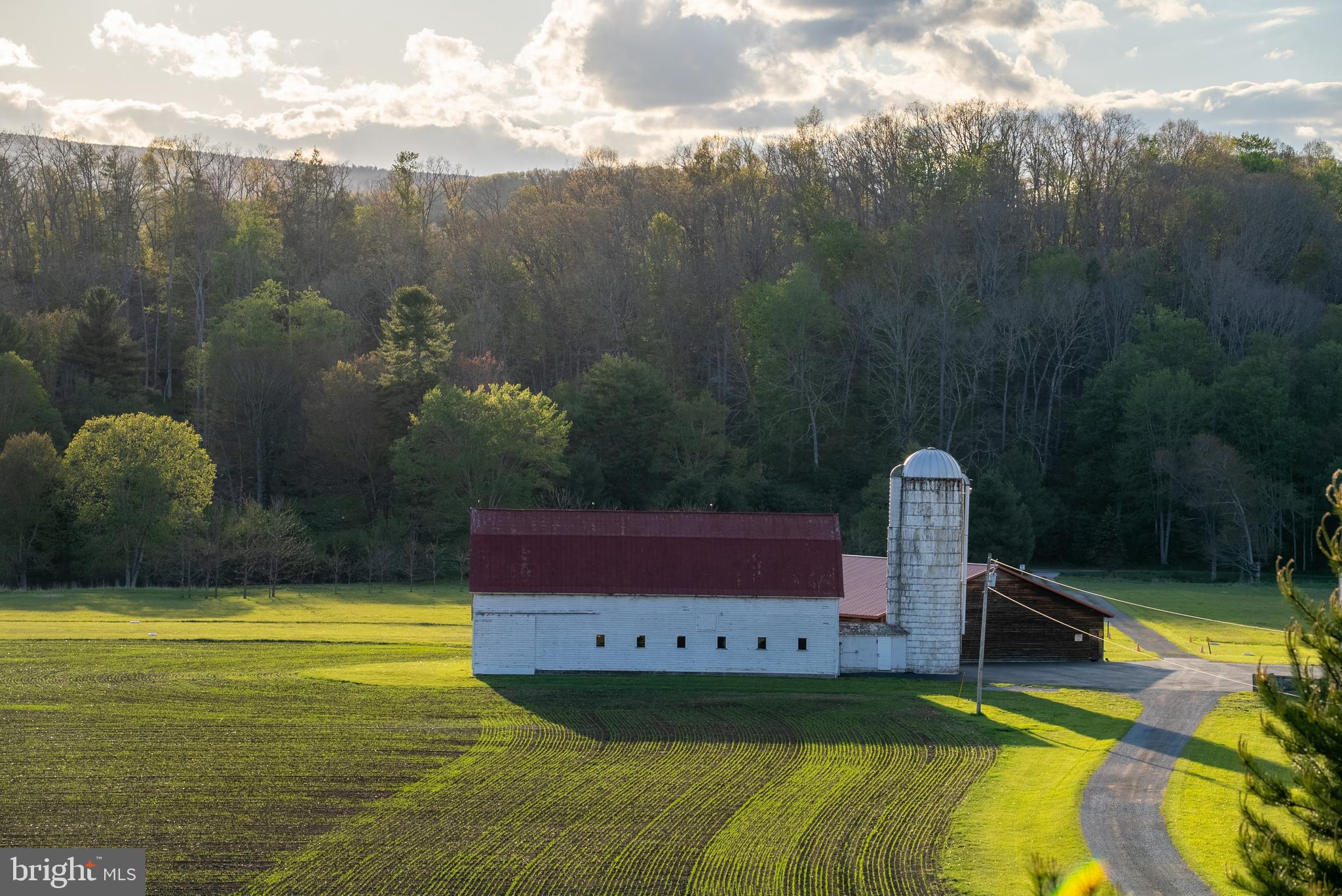 NONE AVAILABLE - Farm