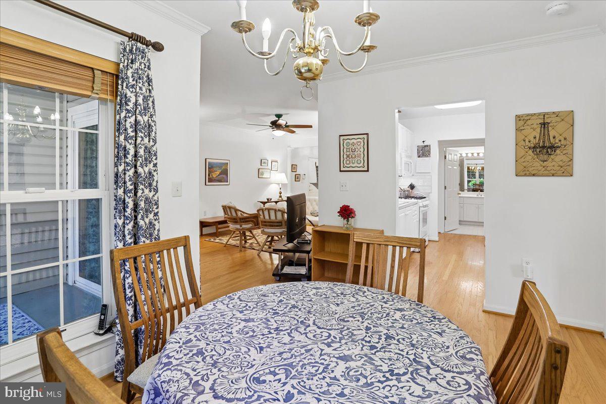 THE PAVILION - Residential