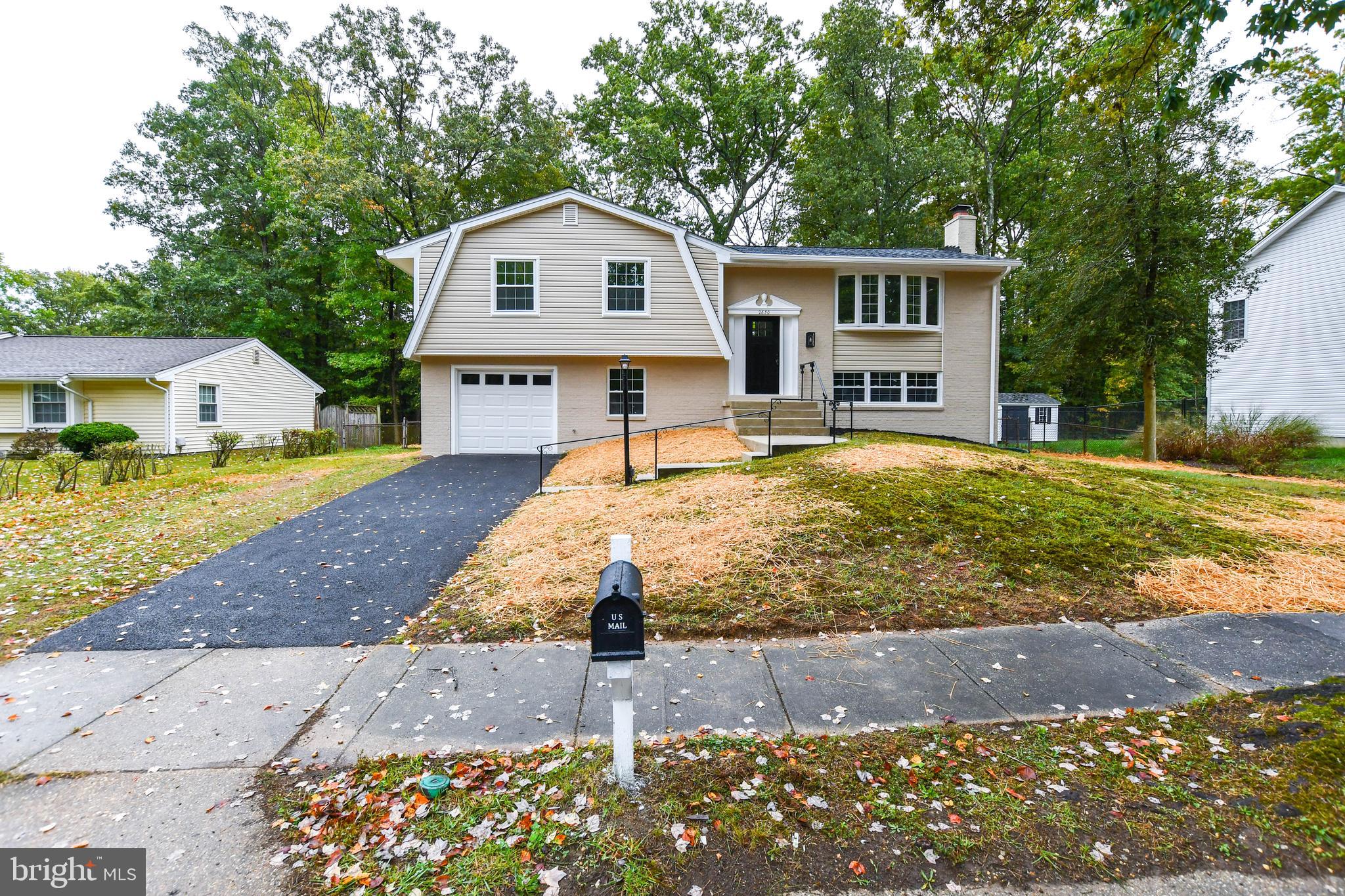 PINEWOOD - Residential