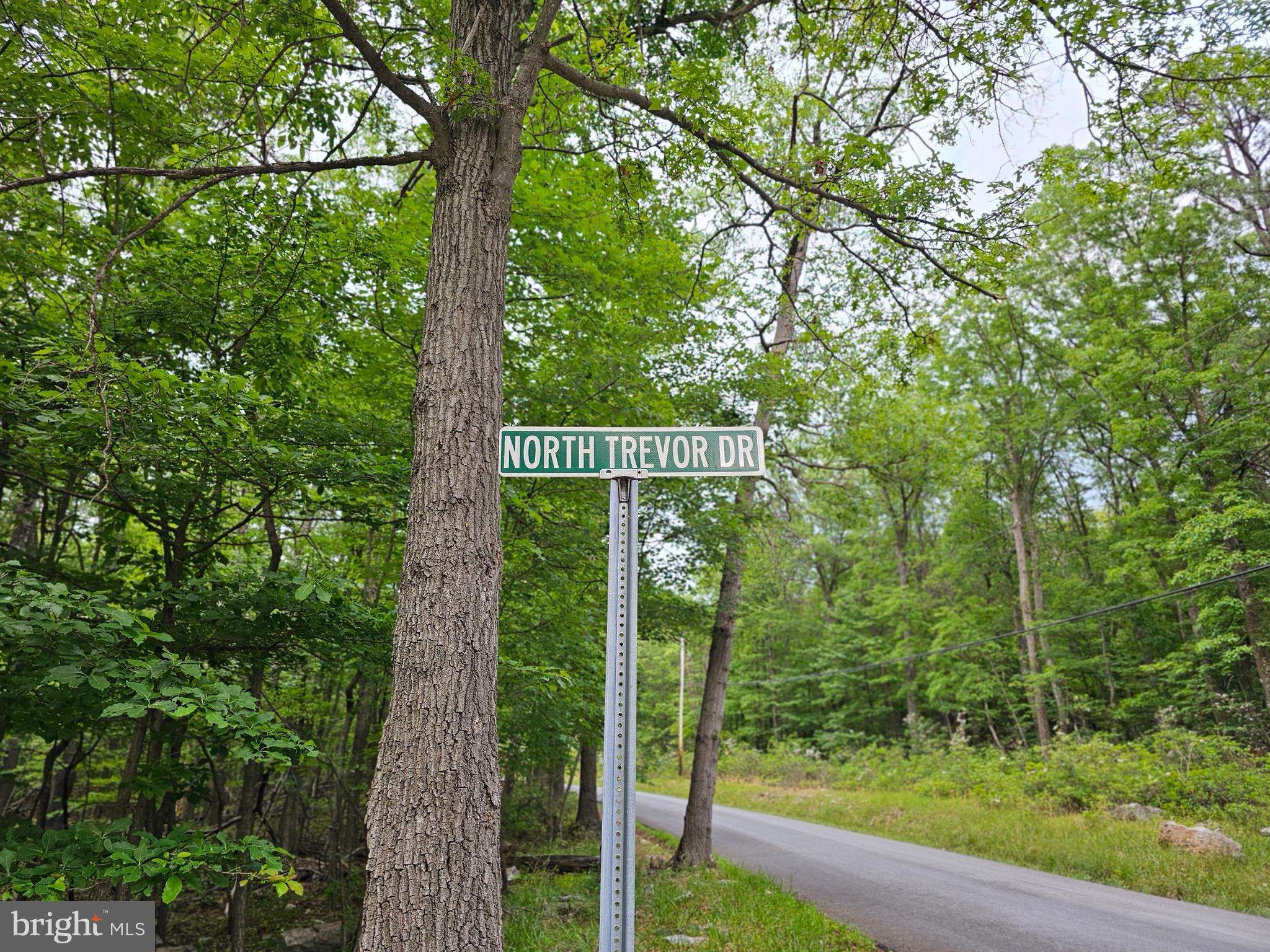 CACAPON HIGHLANDS - Land