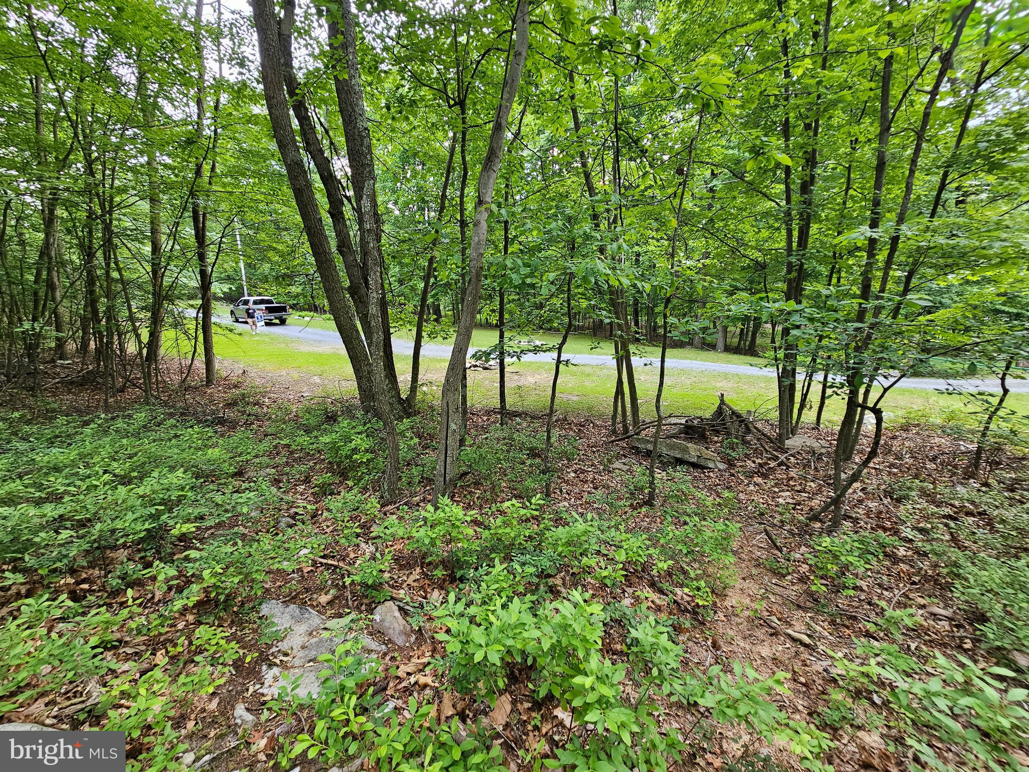 CACAPON HIGHLANDS - Land