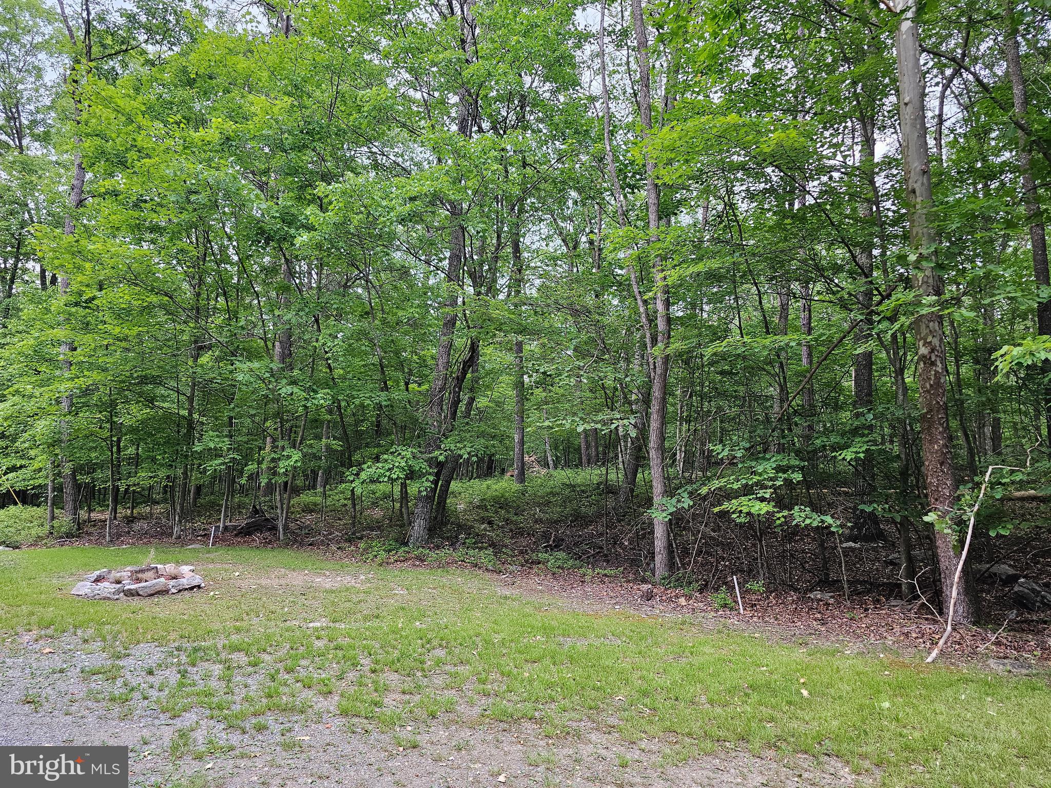 Less than 2 hours from Washington DC you will find a stunning, wooded 5+ acre paradise. Hardwoods and gently rolling landscape adorn this premium parcel that would be a magnificent backdrop to your new weekend cabin or full-time retreat.  North Trevor is gated for privacy and security.  Historic Berkeley Springs, Golfing and Recreation at Coolfont Resort, Berkeley Springs State Park, Winery/Brewery - all within a short distance.
