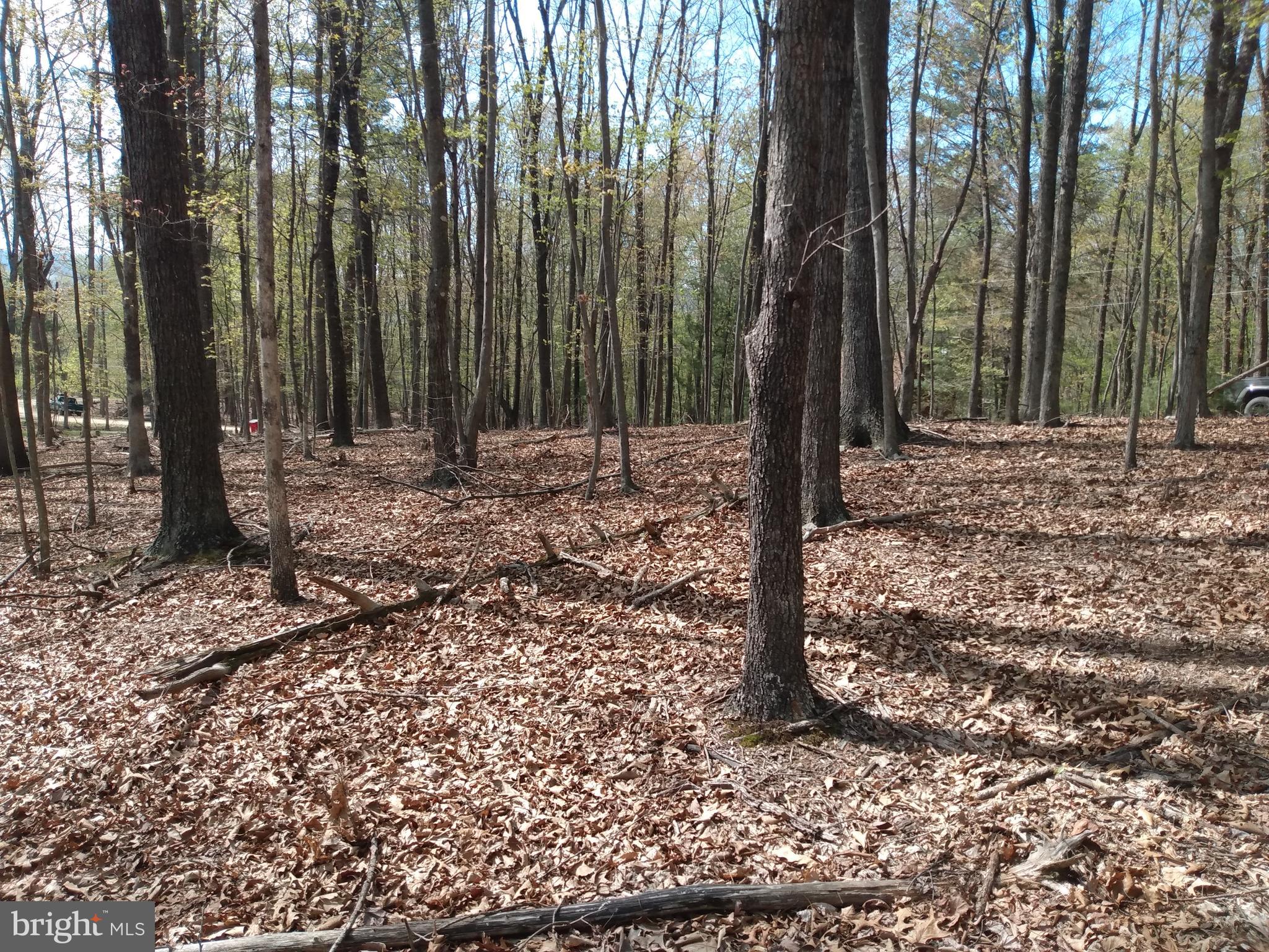Building lot, 2 acres with southern view & exposure, this nicely wood lot would be the perfect place for your mountain retreat or full term residence, the southern county offer an easy commute to Winchester VA.  The Cacapon State Park and Berkeley Springs are near by for all your outdoor activities , shopping and culture. Don't let this one slip by!