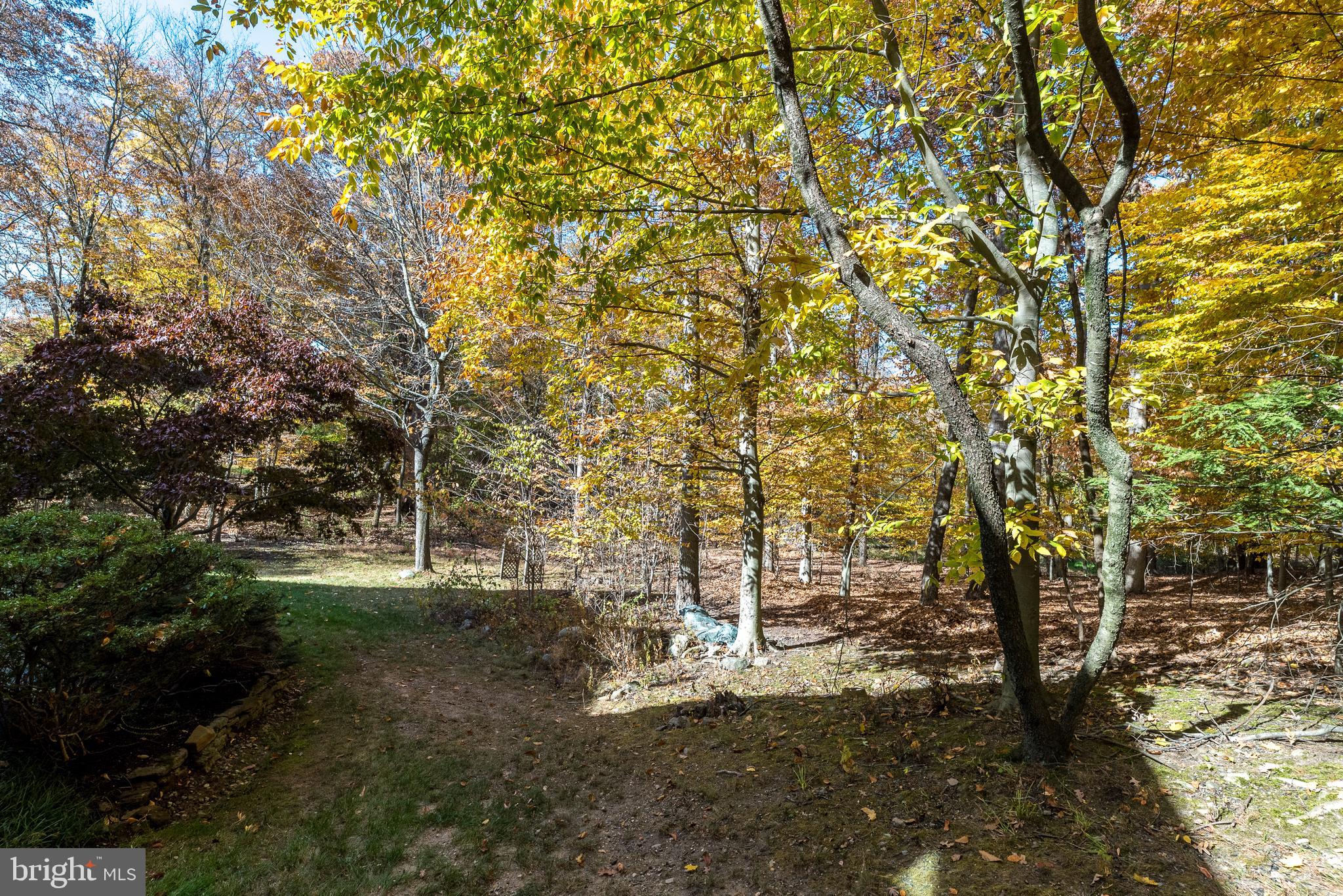 DUBLIN WOODS - Residential