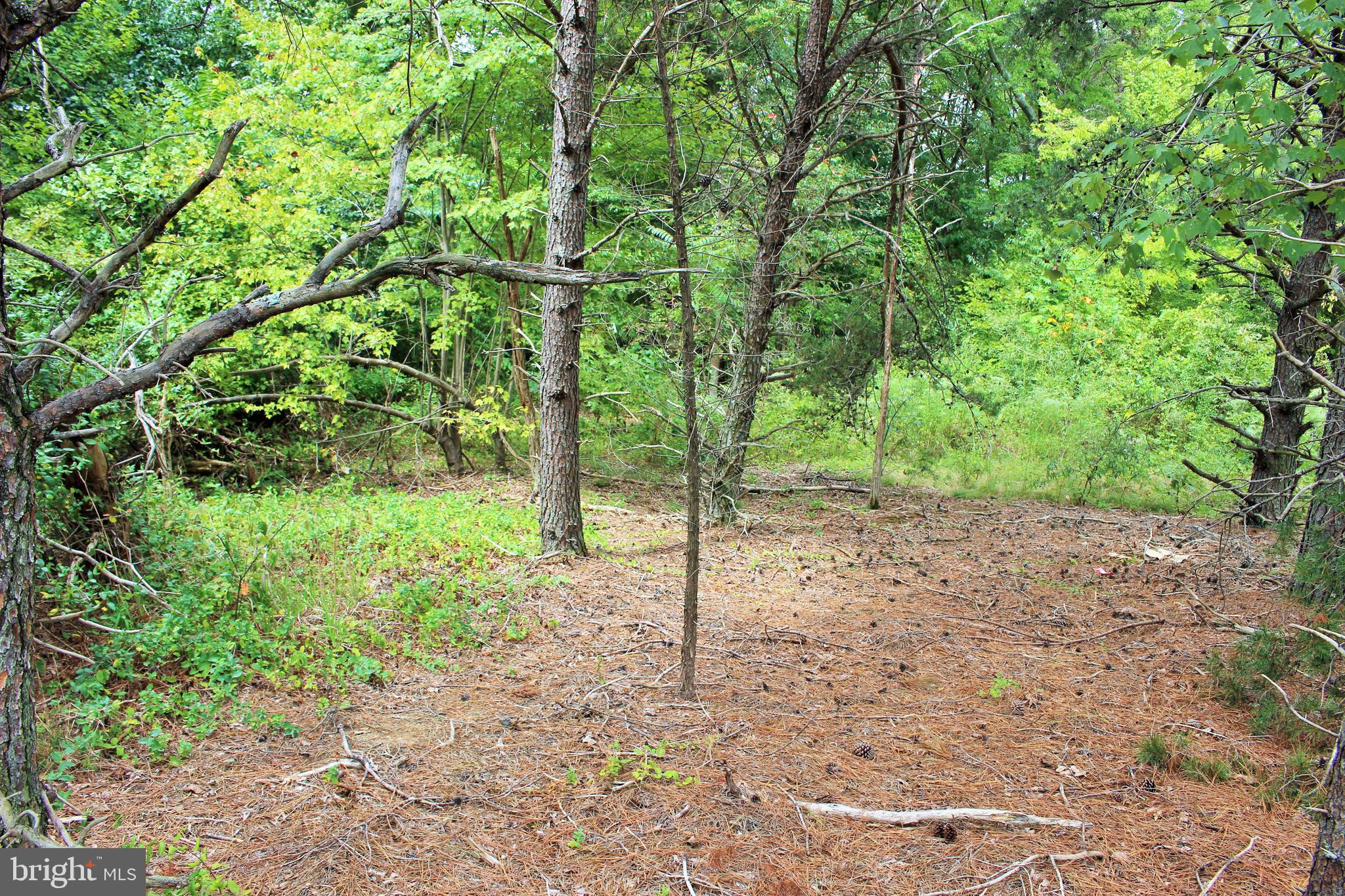 Two lots and two approved perc sites! Being sold together, 1.46 acres.  Wooded and mostly level with slope on the north side.  One lot has 180 ft and other has 157 ft of road frontage.   Nice level area to build back off the road,  and an easy mid county commute in either direction.  Also located near restaurants, schools and more.  Zoned Residential Low Density to allow for a variety of uses.  Compatible institutional uses are allowed per County land use agency.  Plat available with recorded perc sites.  Tax record address is incorrect, it is located on the south bound side of Rt 235, just past the Old Village Rd and the Seafood Corner Market.