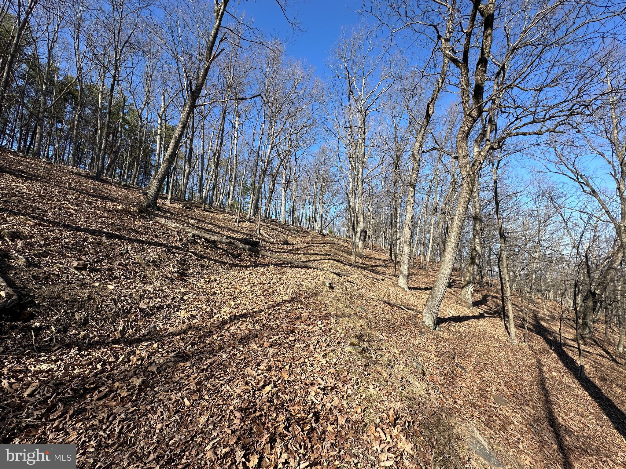 BLUFFS ON THE POTOMAC - Land