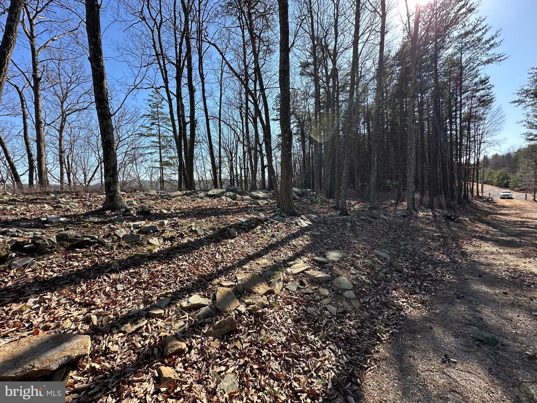 BLUFFS ON THE POTOMAC - Land