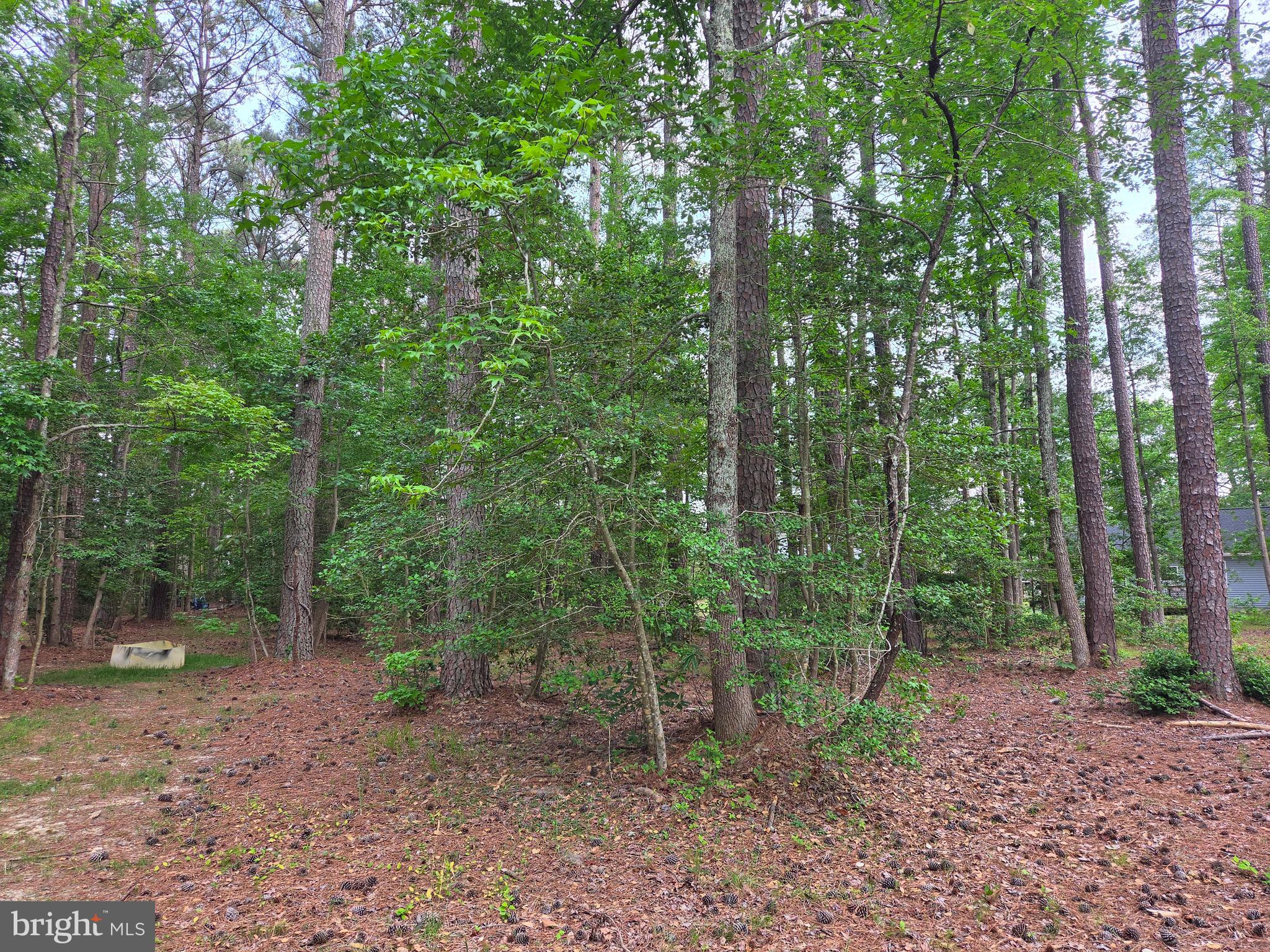 This great 1/3-acre cul-de-sac lot offers an excellent location on Military Court, across the street from the Glebe Harbor Beach. Enjoy easy access to the water and all the amenities this community has to offer. Community amenities include a clubhouse, swimming pool, picnic pavilion, tennis courts, playground, boat ramps, RV/trailer/boat storage area, and 3 other beaches. Public water and sewer hookups are available. Build your home today!