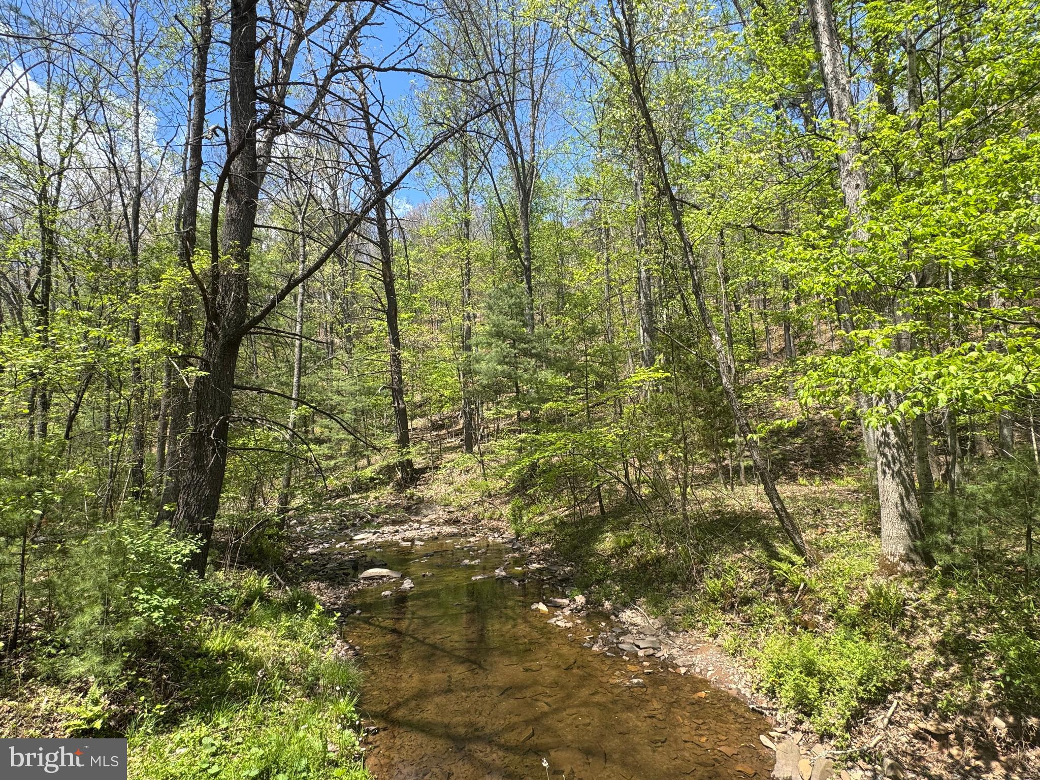 Approximately 90-acre wooded parcel offering abundant space for recreation, hunting, and enjoying nature, with Little Brush Creek bordering the property. This private retreat features approximately 2,500 feet of creek frontage and has been recently surveyed. The property is accessed by frontage on Shockyeville Road or established easement and offers a peaceful, remote setting while still being conveniently located near restaurants, shopping, and other amenities. Enjoy nearby walking trails, including the Tuscarora Trail adding even more outdoor appeal to this unique property. Perfect for outdoor enthusiasts seeking peace and quiet with easy access to modern conveniences. 
No HOA or road maintenance agreements. Shockeysville Road is state maintained for added convenience and year-round access.