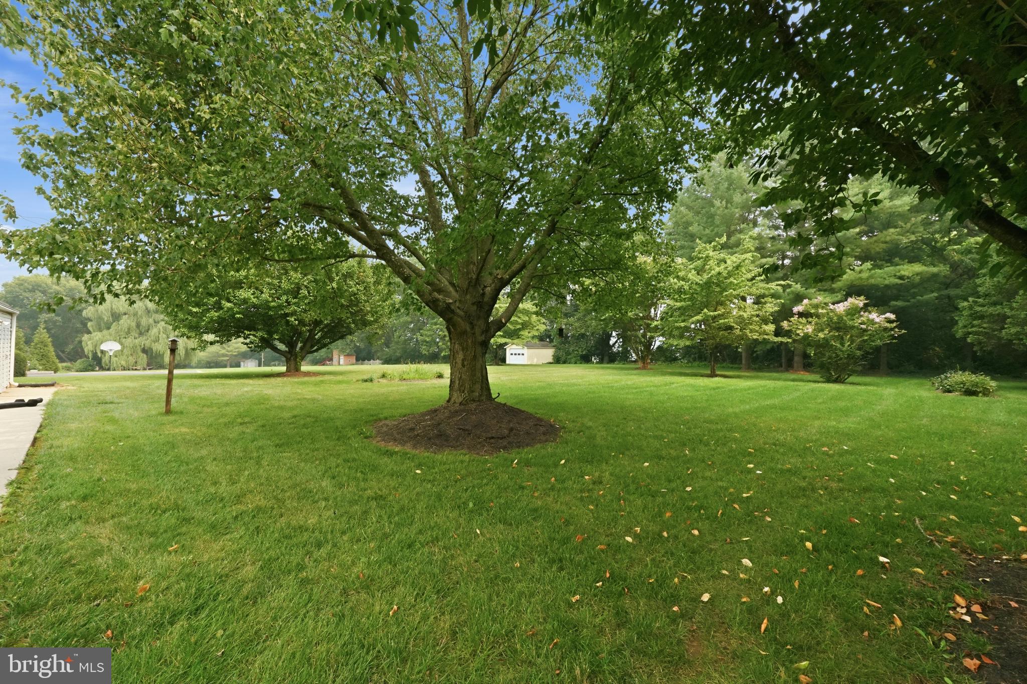 ROUNDTREE - Residential
