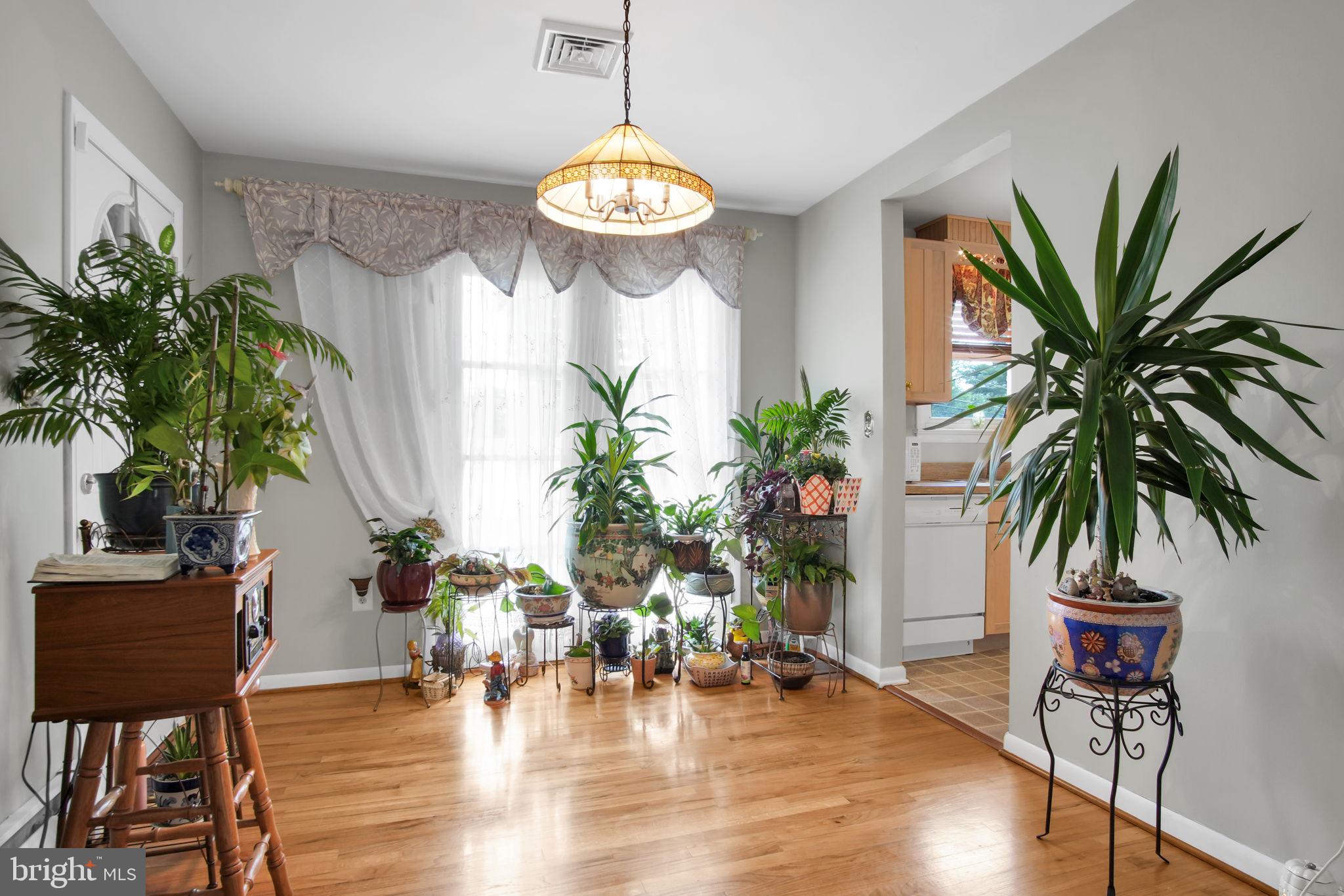 MT ALLEN HEIGHTS - Residential