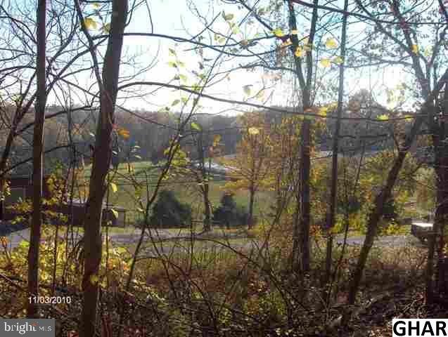 1 of 2 large estate lots. Prime hilltop wooded private land with great views. Backs up to Laurel Woods. Plenty of wildlife. Pick your own builder and build your dream home. Sellers to approve builder and home plans.