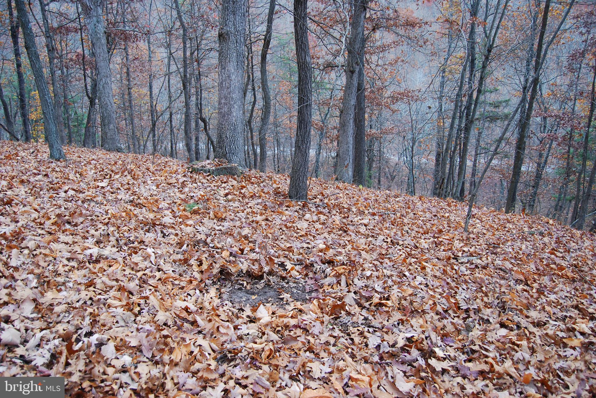 ASHTON WOODS - Land