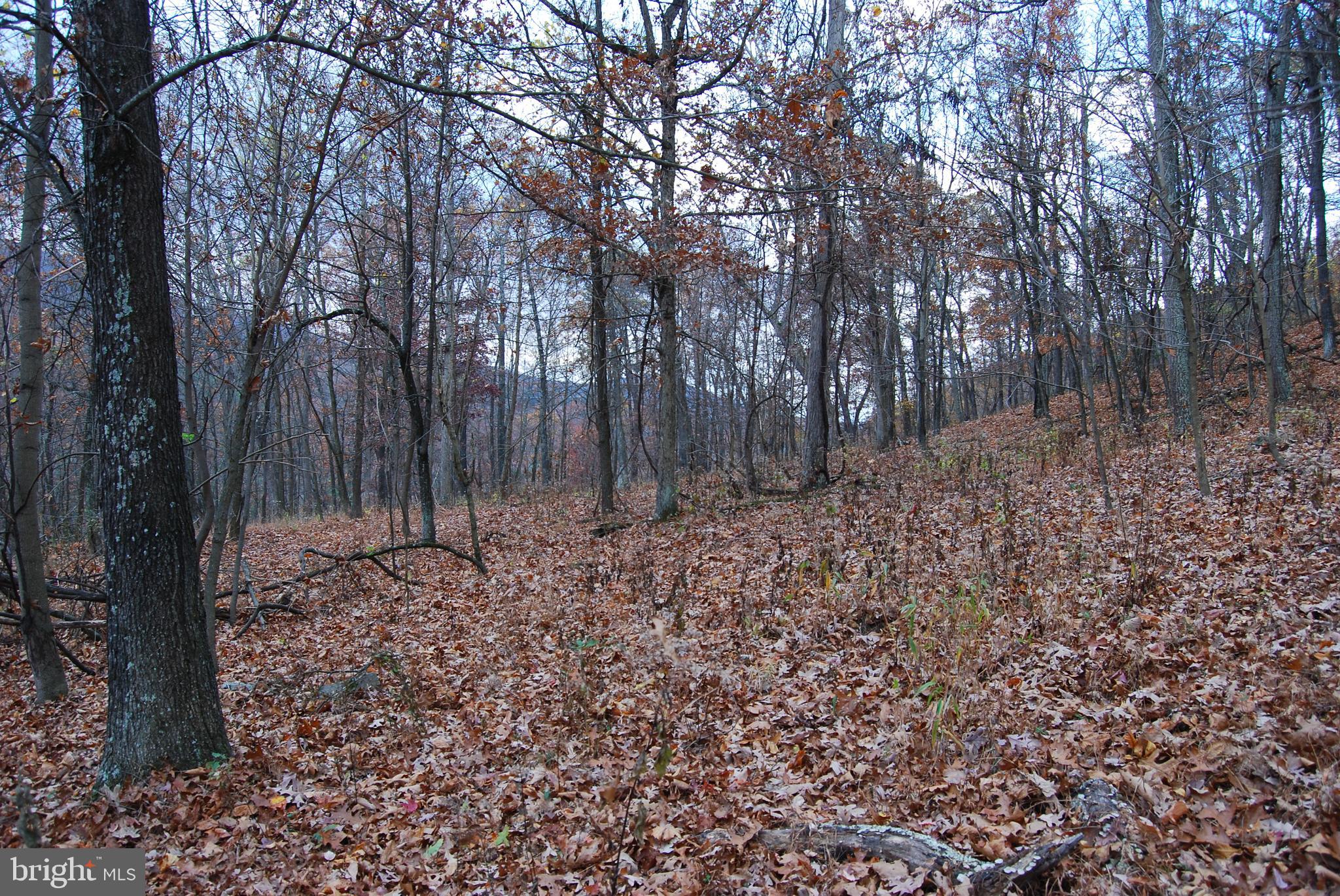ASHTON WOODS - Land