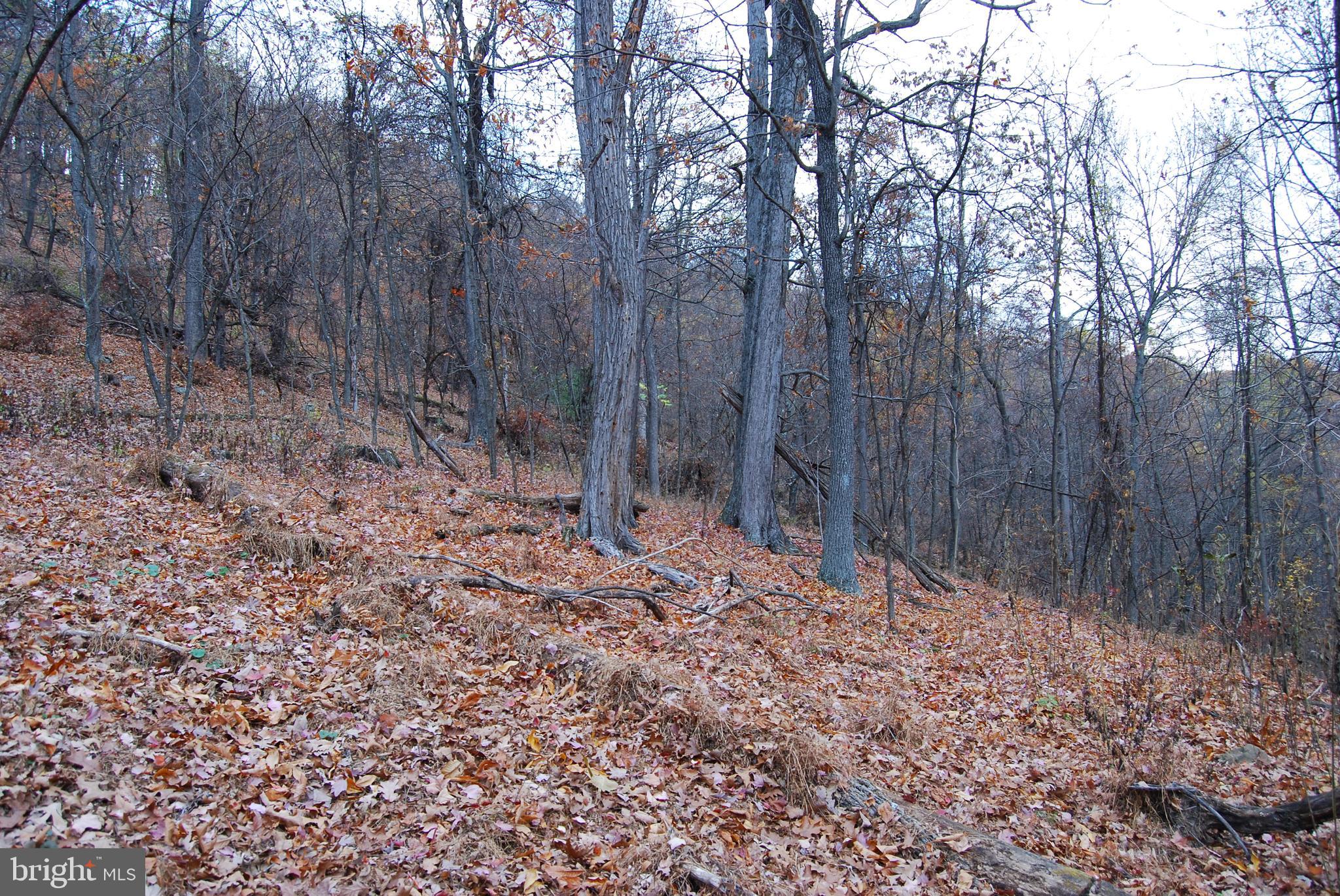 ASHTON WOODS - Land