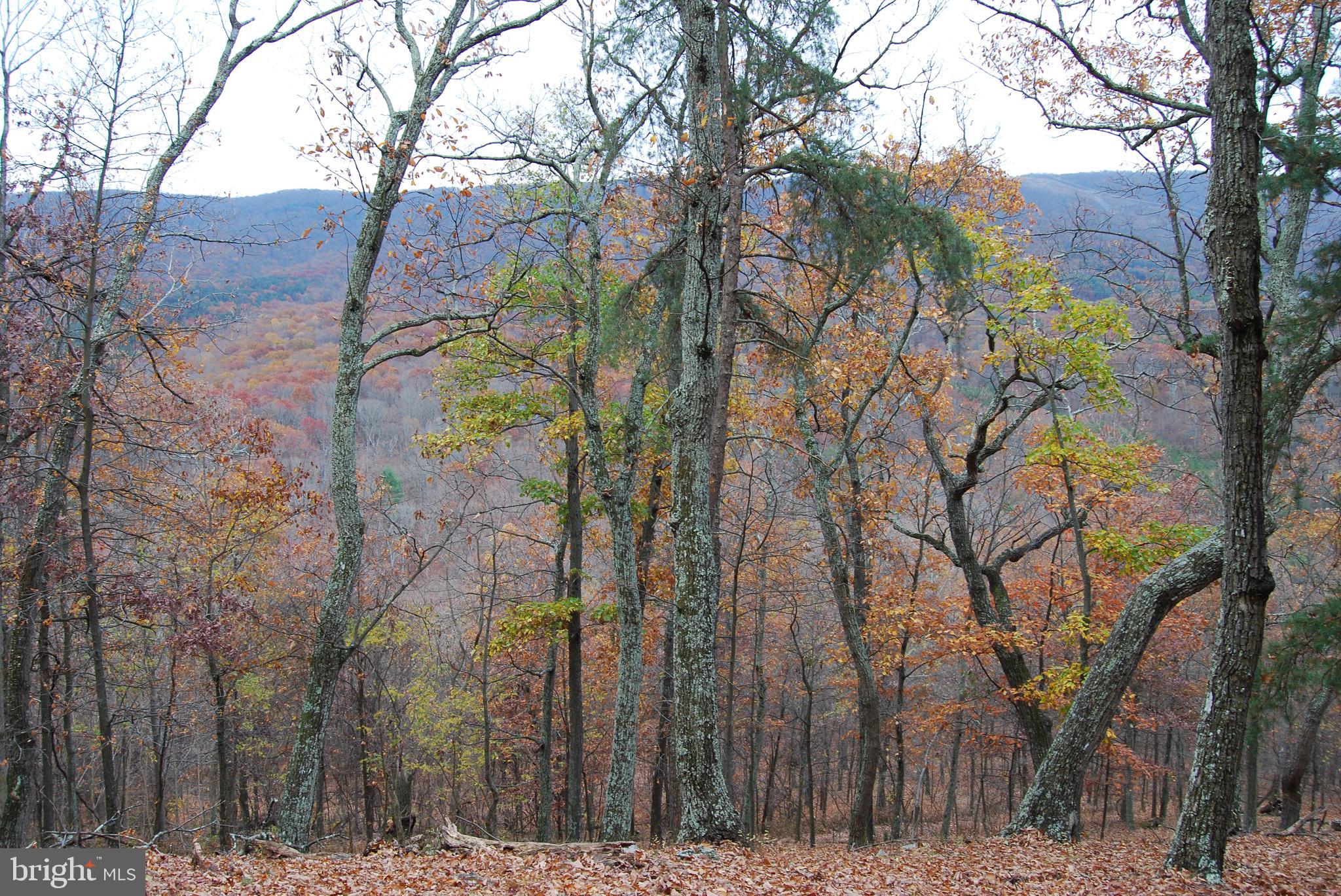 ASHTON WOODS - Land
