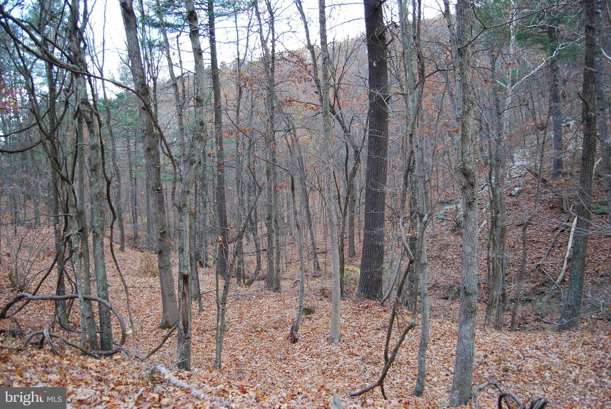 ASHTON WOODS - Land
