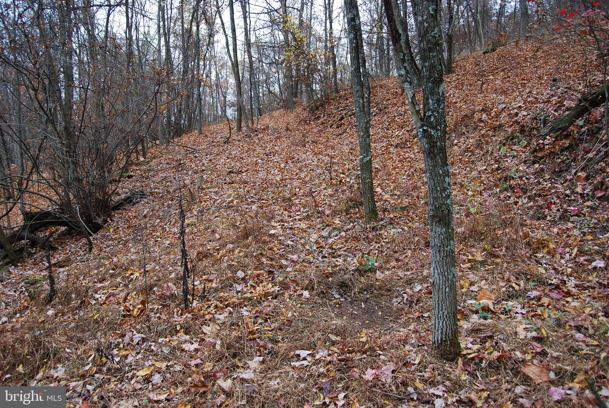 ASHTON WOODS - Land