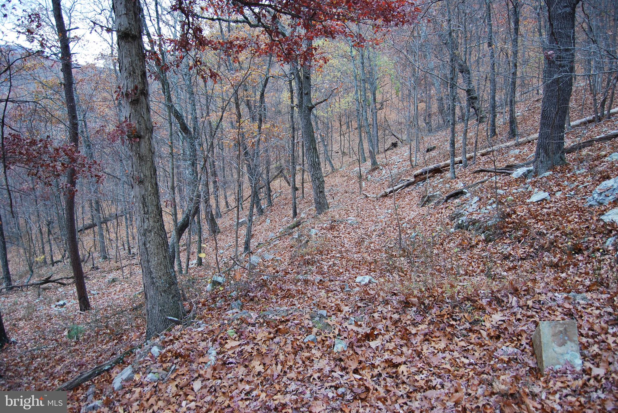 ASHTON WOODS - Land
