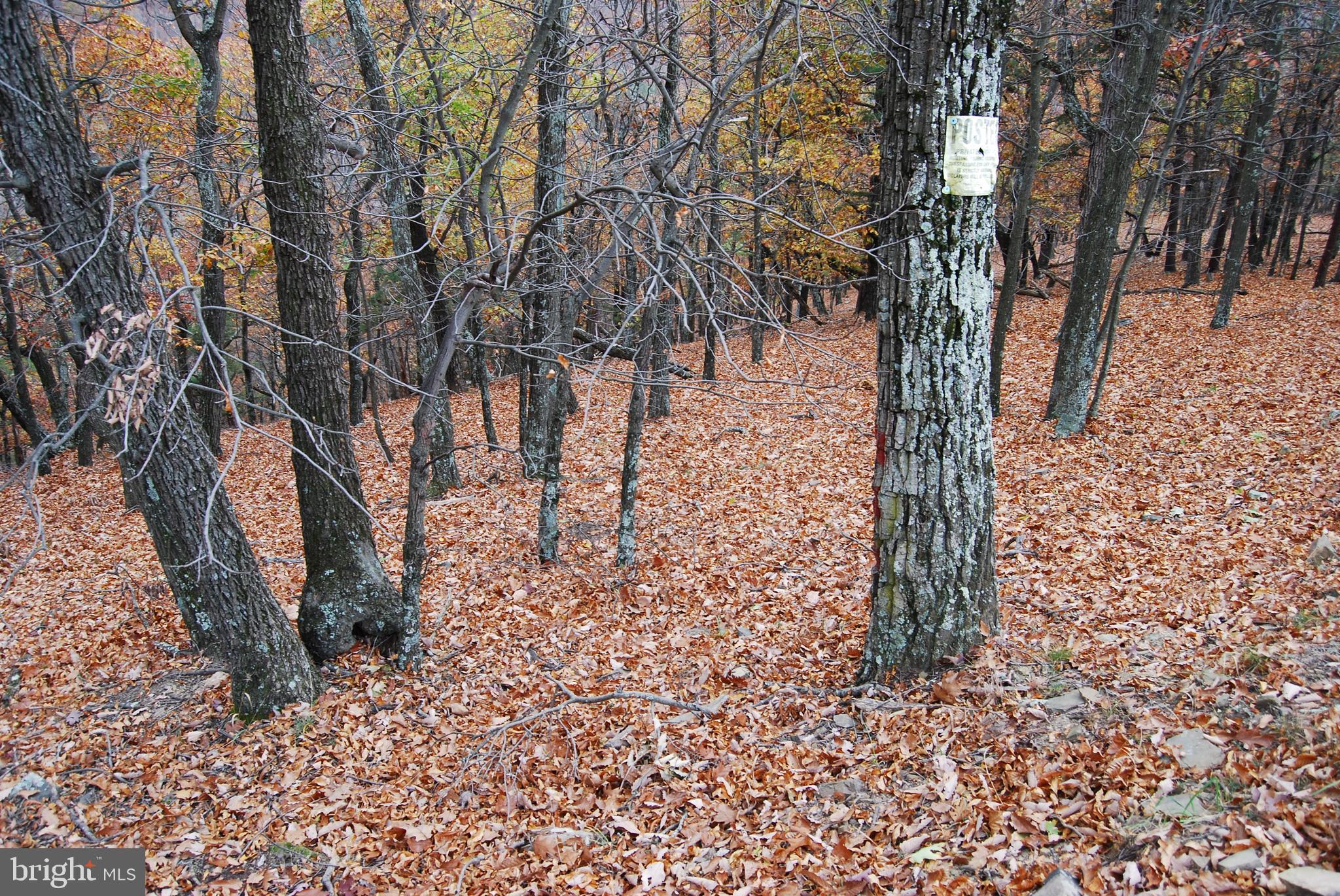 ASHTON WOODS - Land
