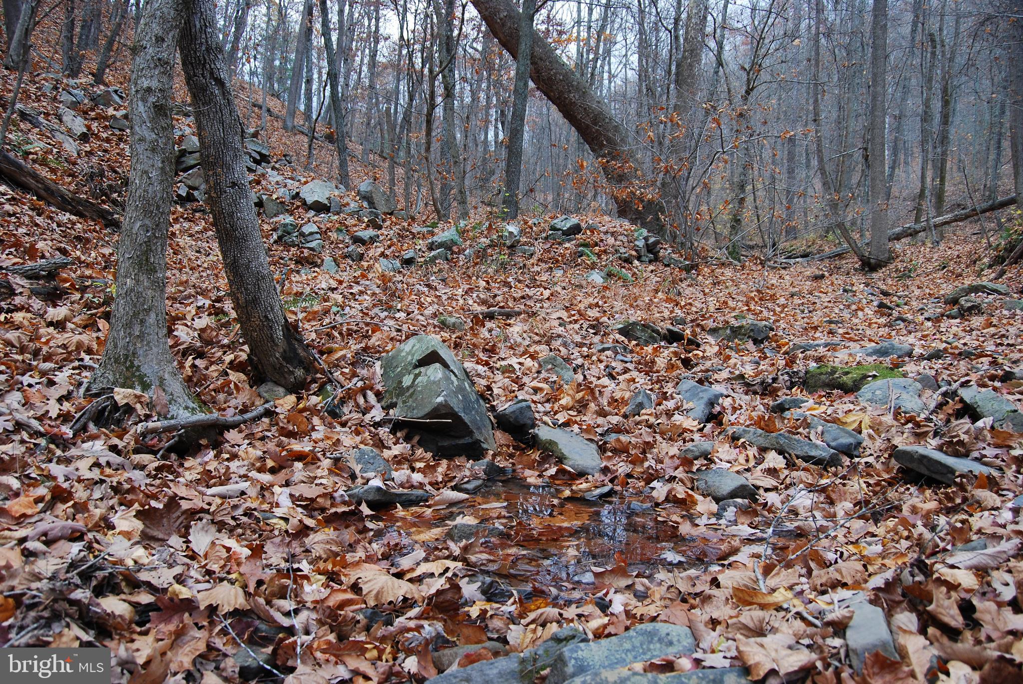 ASHTON WOODS - Land
