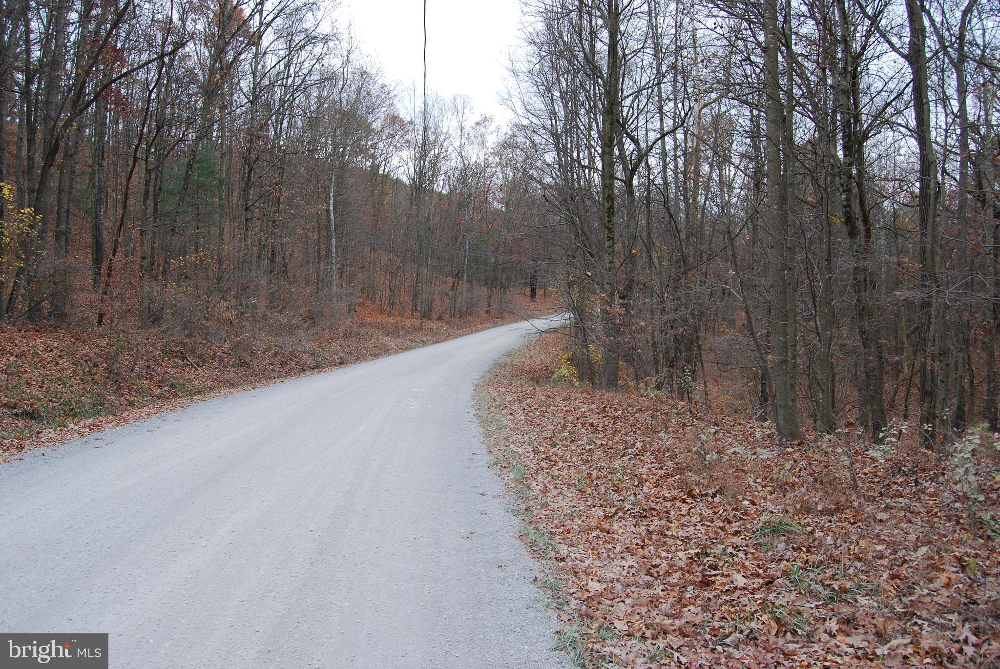 ASHTON WOODS - Land