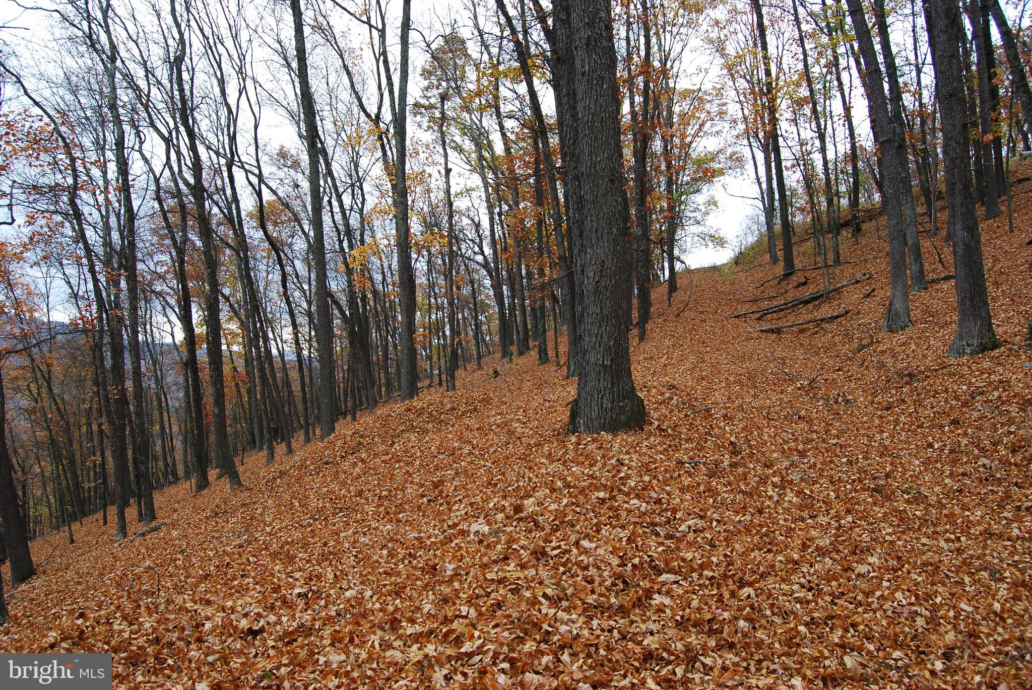 ASHTON WOODS - Land