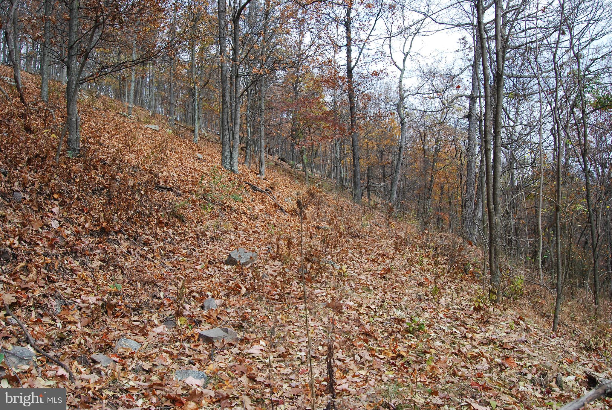 ASHTON WOODS - Land