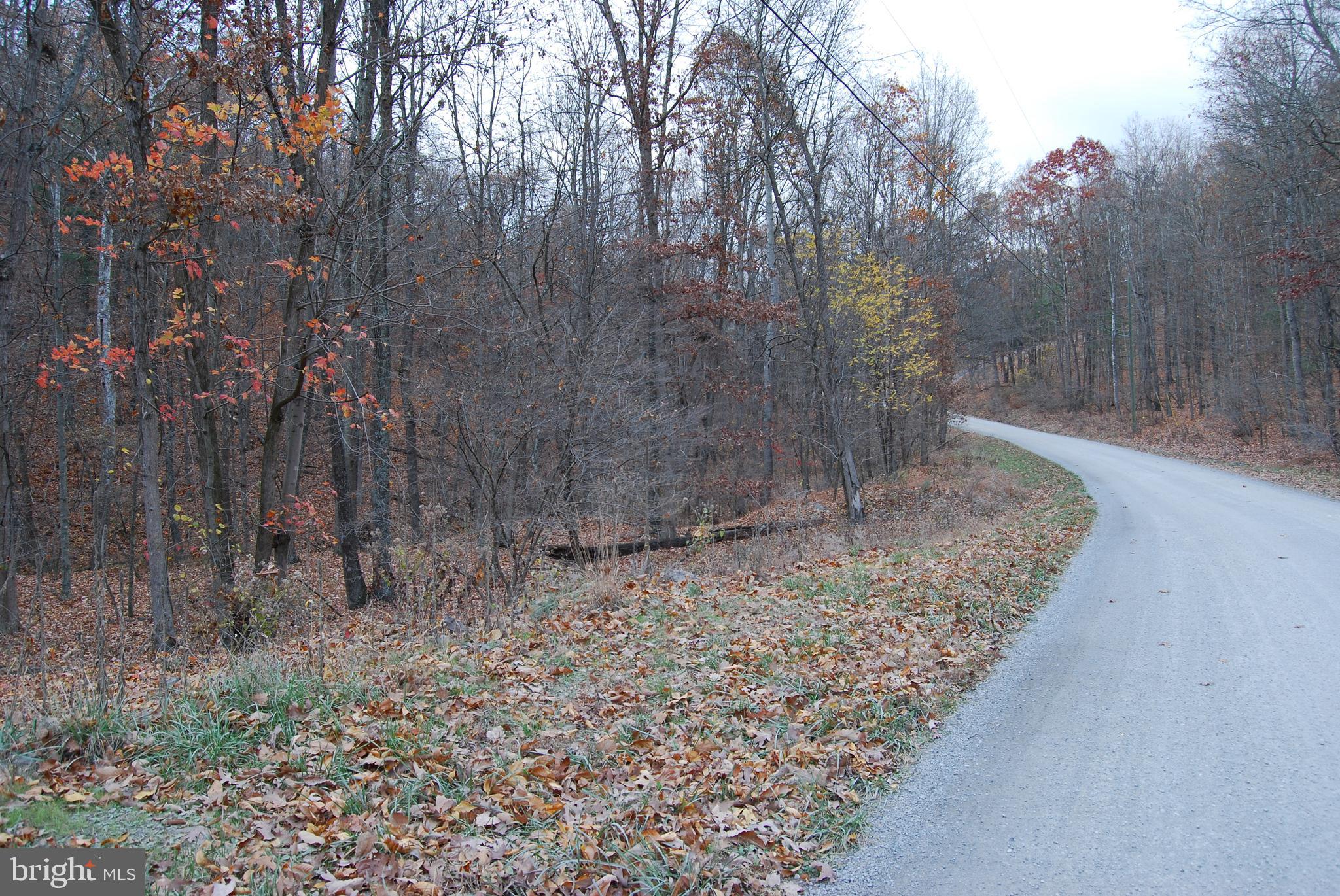 ASHTON WOODS - Land