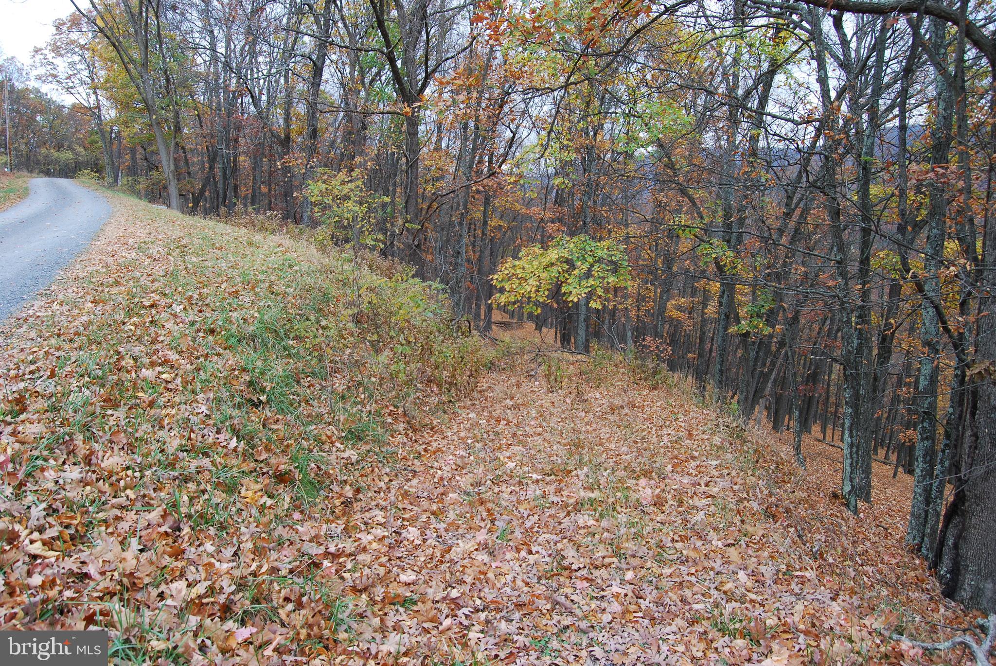ASHTON WOODS - Land