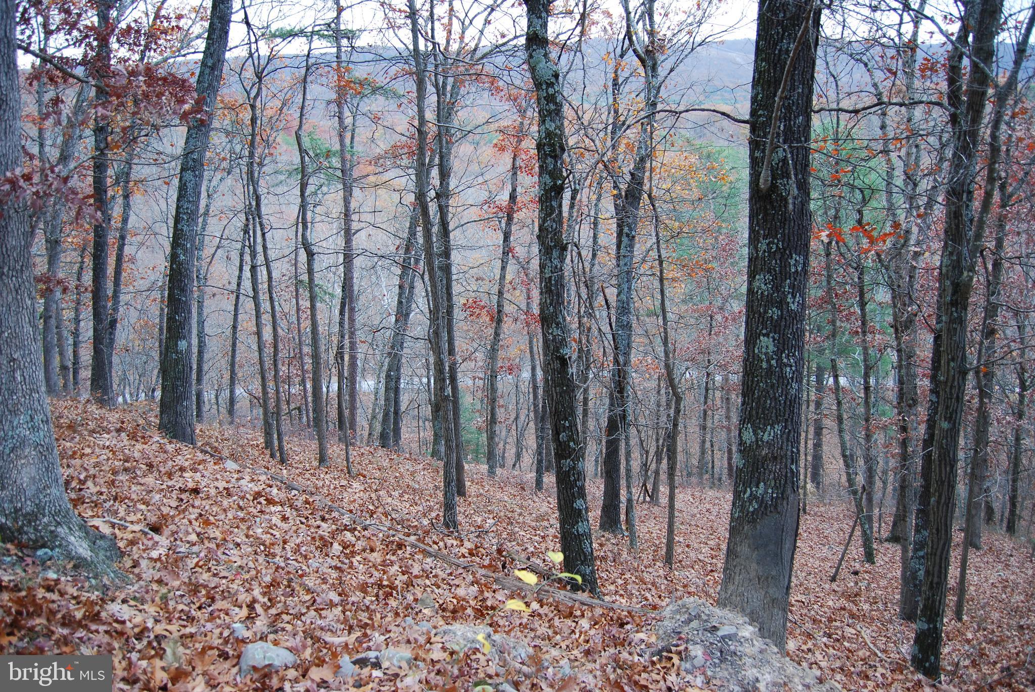 ASHTON WOODS - Land