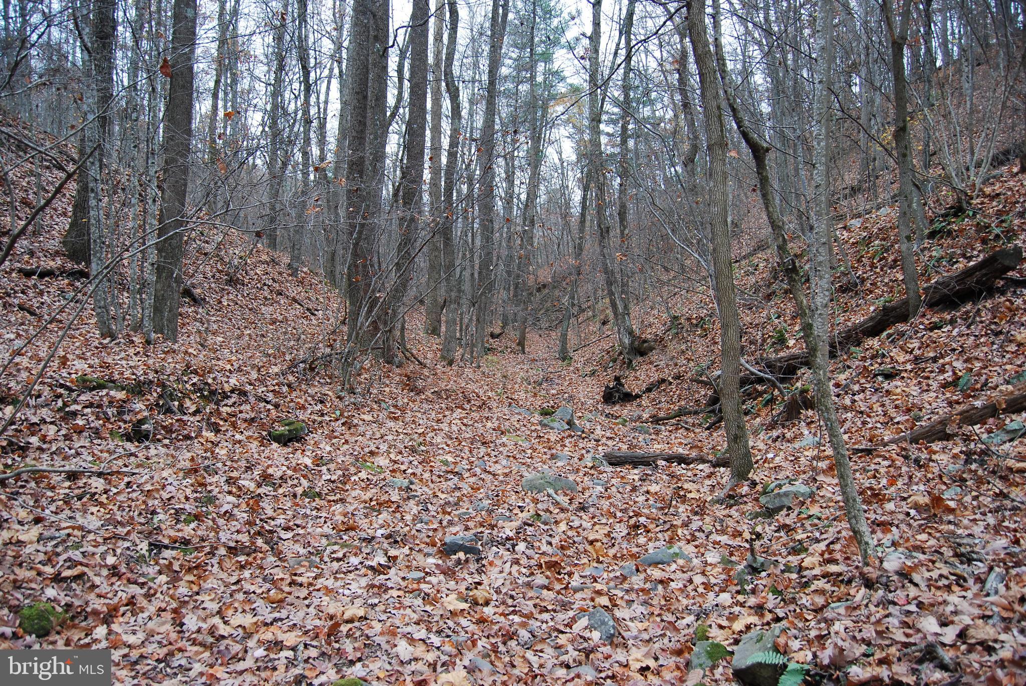 ASHTON WOODS - Land