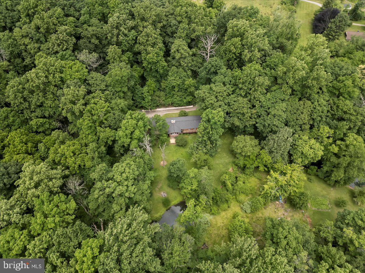 RADNOR HUNT - Residential
