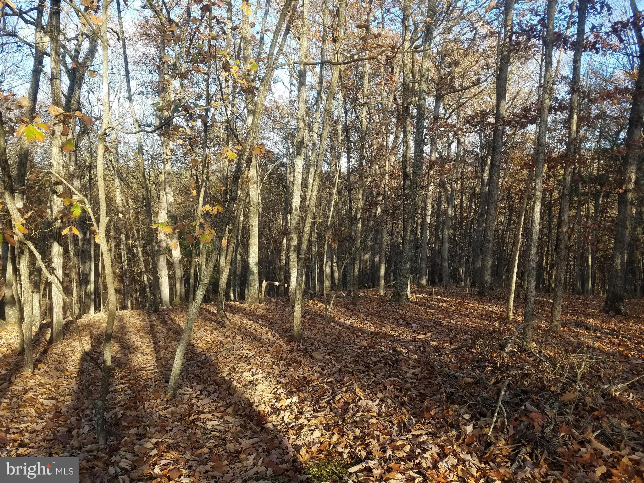 BEAUTIFUL CRYSTAL VALLEY ESTATES! Rurally located in the heart of Hampshire Co.  just four miles north of Romney.  This "wild life refuge" and older development sits on the east side of what is locally known as Herriots Mountain.  A mixture of sloping to gently rolling lots, all wooded with various potential build sites. Well maintained country roads throughout.  Only minutes from public access to the South Branch River.  Also nearby is Crystal Valley Ranch Restaurant (horse stables and riding trails)...Double lot #34 & 35, 7.8 acres at culdasac...Build  that home or getaway cabin!!!  Other lots available, see plats and lot list...