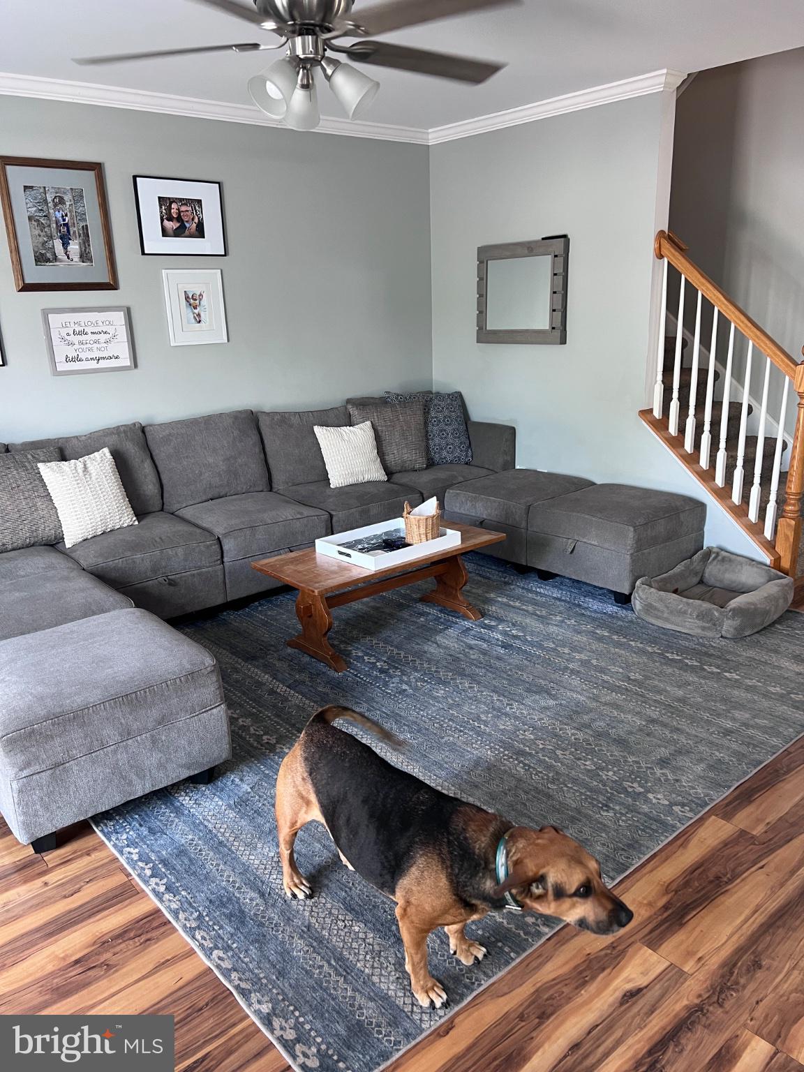 MONTGOMERY MEADOWS - Residential