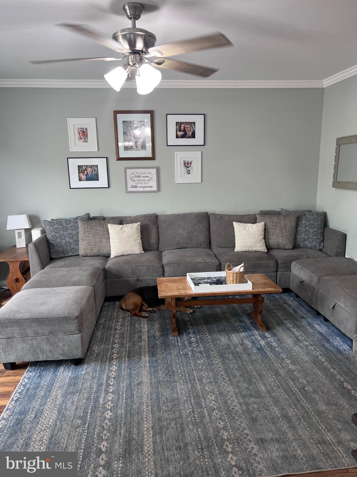 MONTGOMERY MEADOWS - Residential