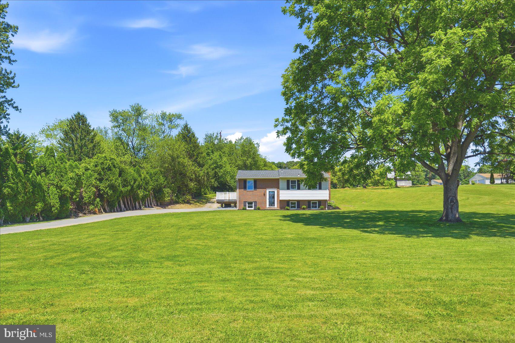 RANDYS DELIGHT - Residential
