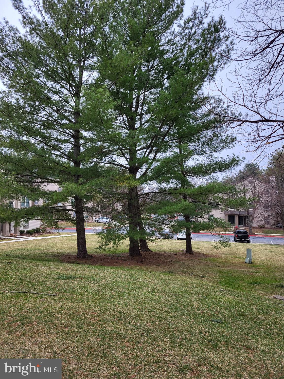 SCENERY POINTE CODM - Residential Lease