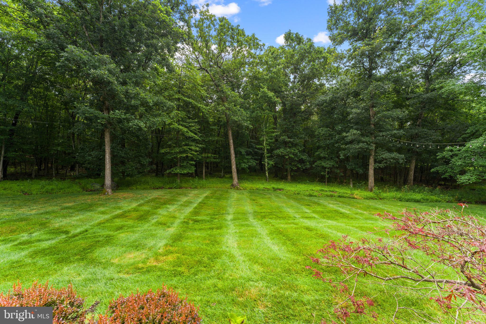 CEDAR CREST - Residential