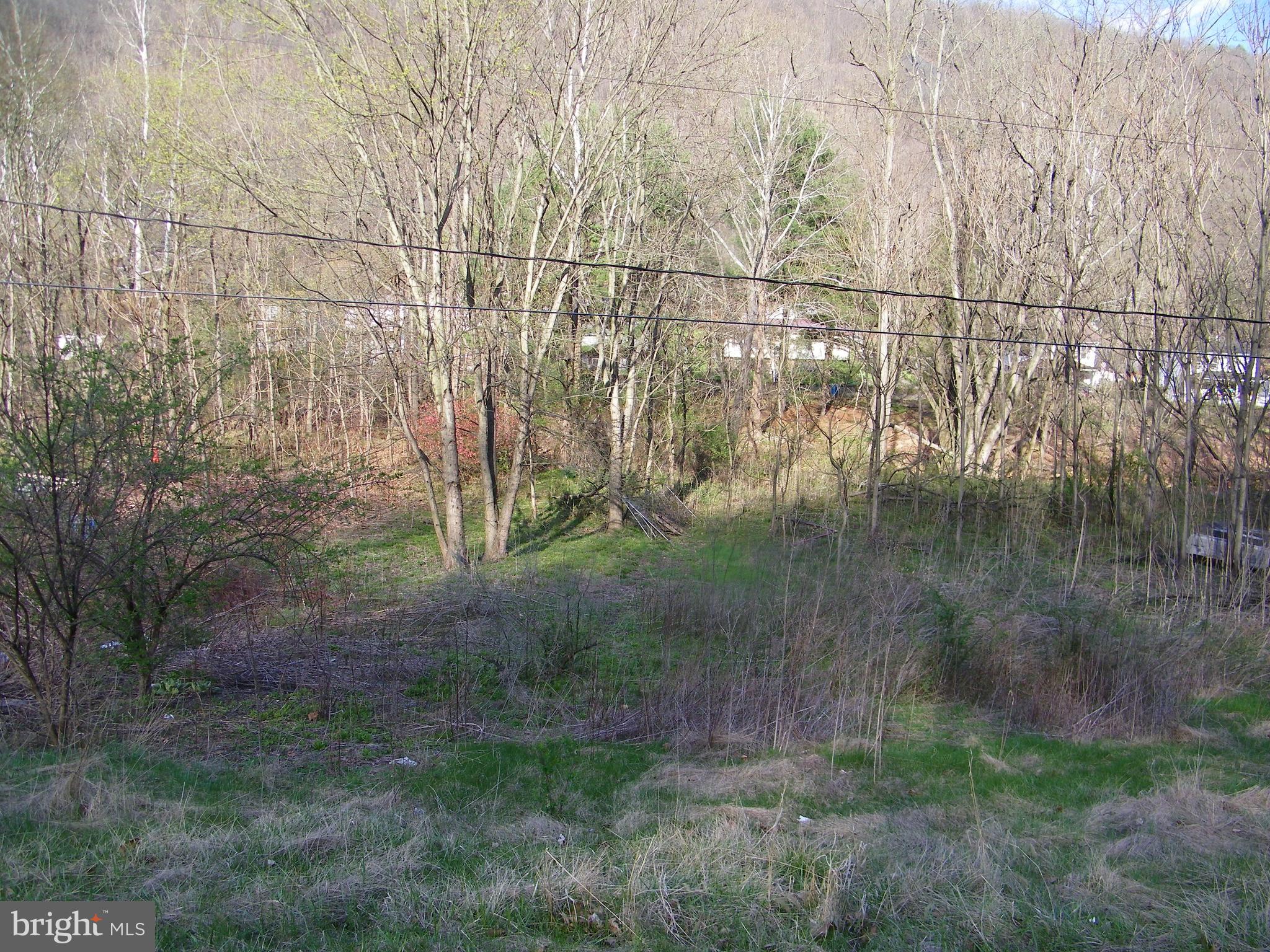 Property is located in Flood Zone.  No public water or sewer taps on property.