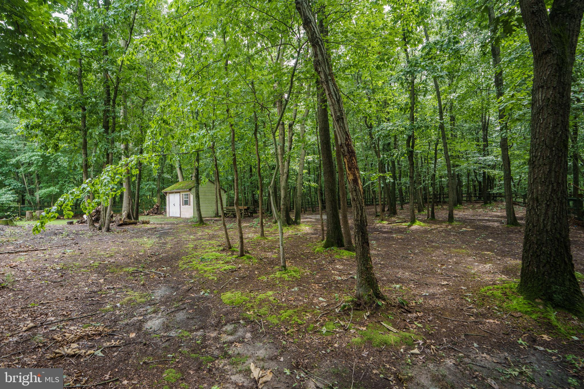 WHITAKER WOODS - Residential