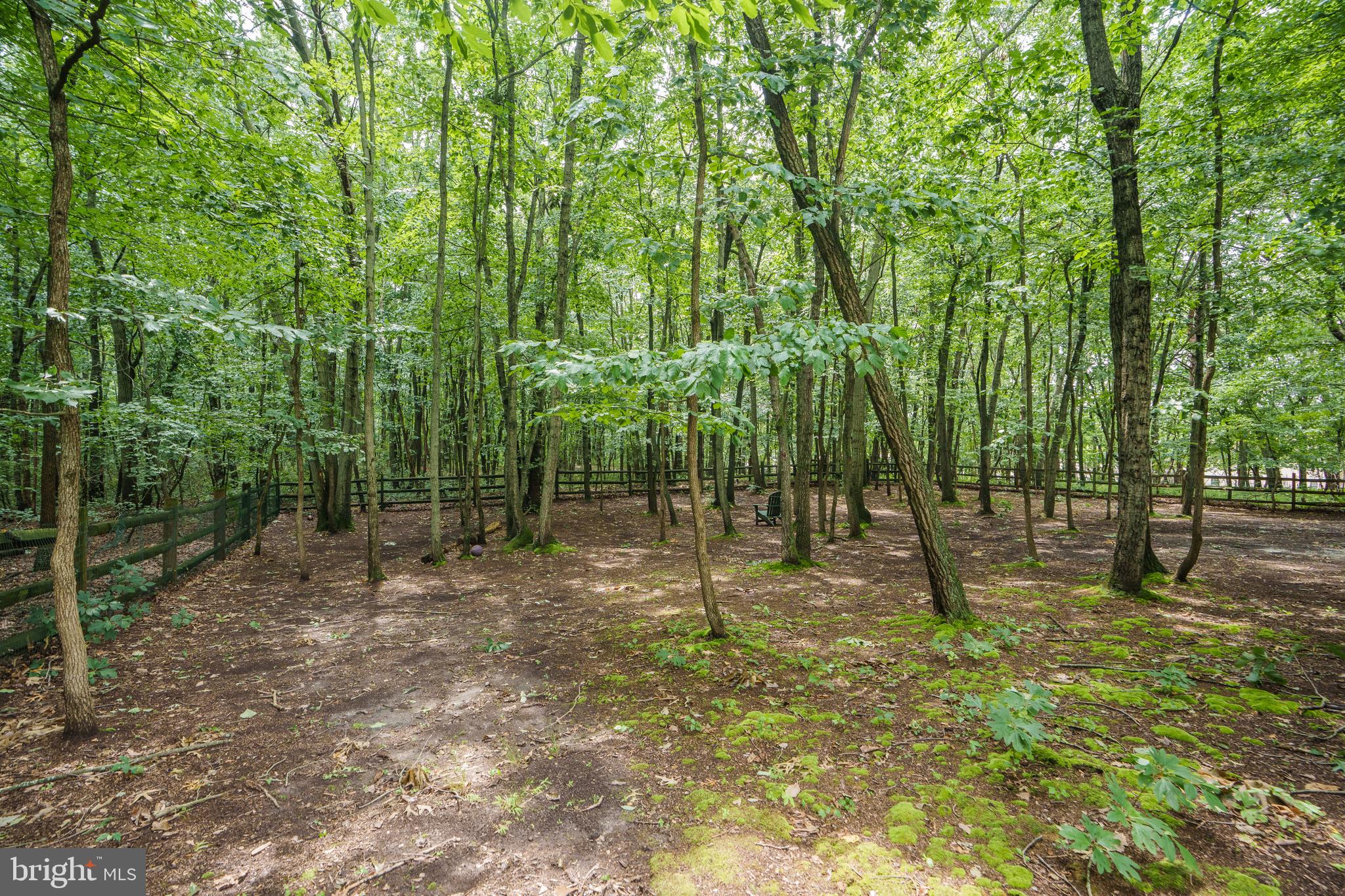 WHITAKER WOODS - Residential
