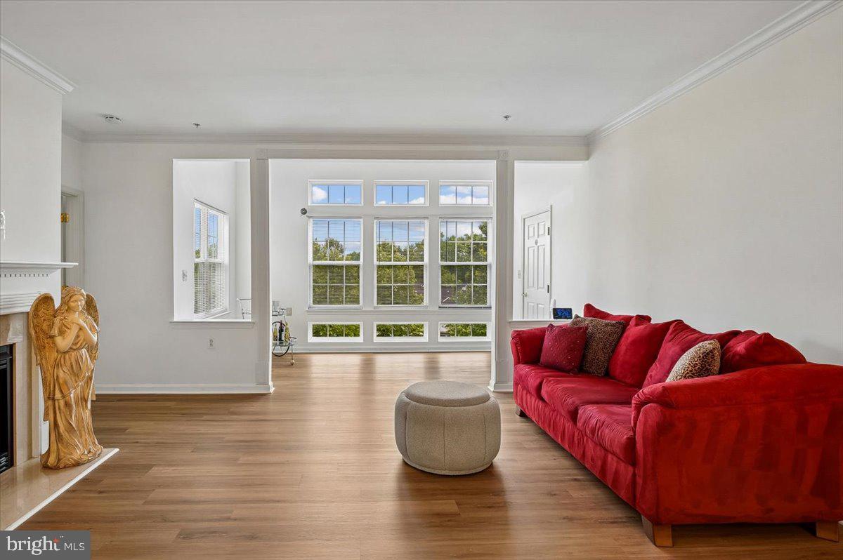 CAMERON GROVE - Residential